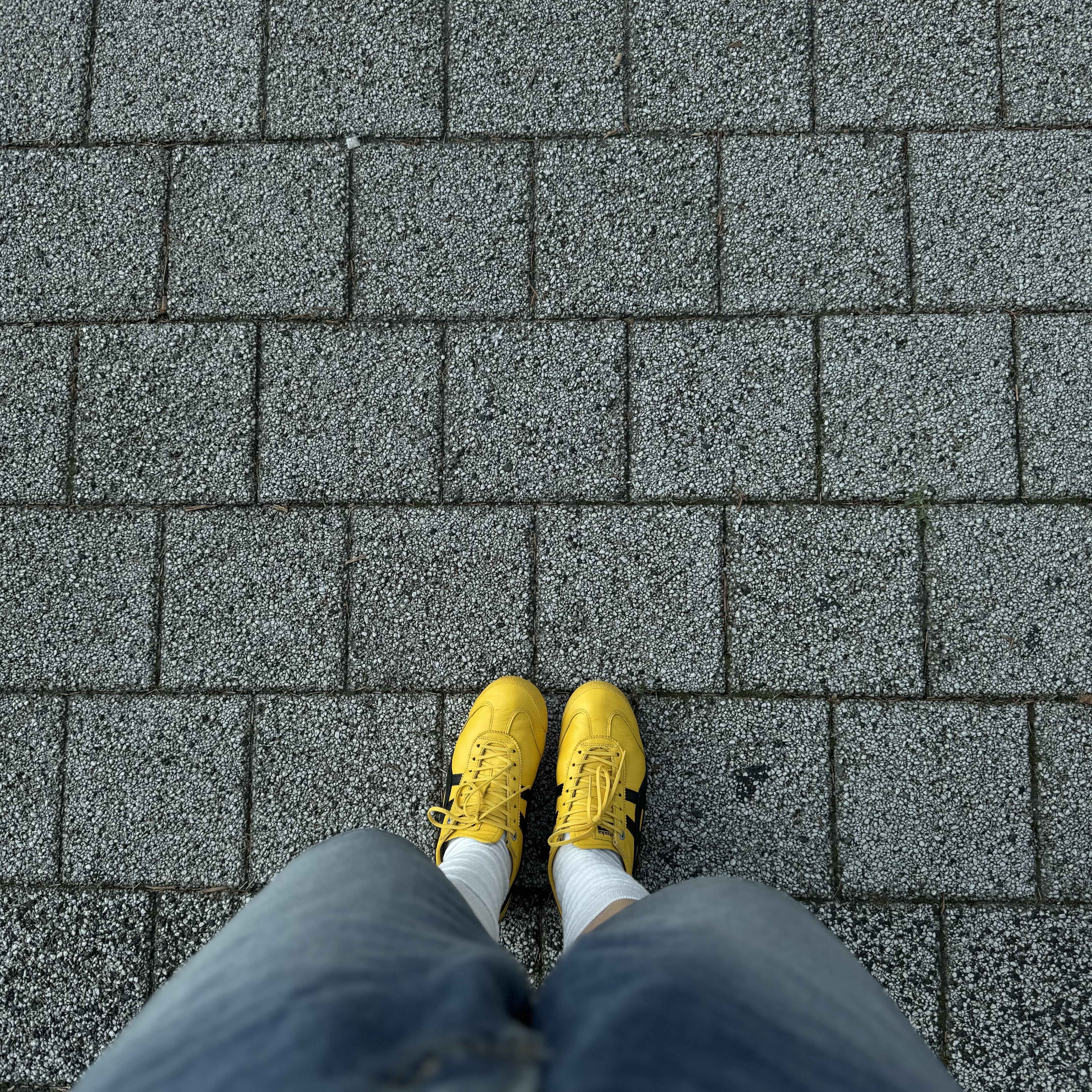 Onitsuka Tiger Mexico 66 SD Yellow Black 착용 스타일 - 2