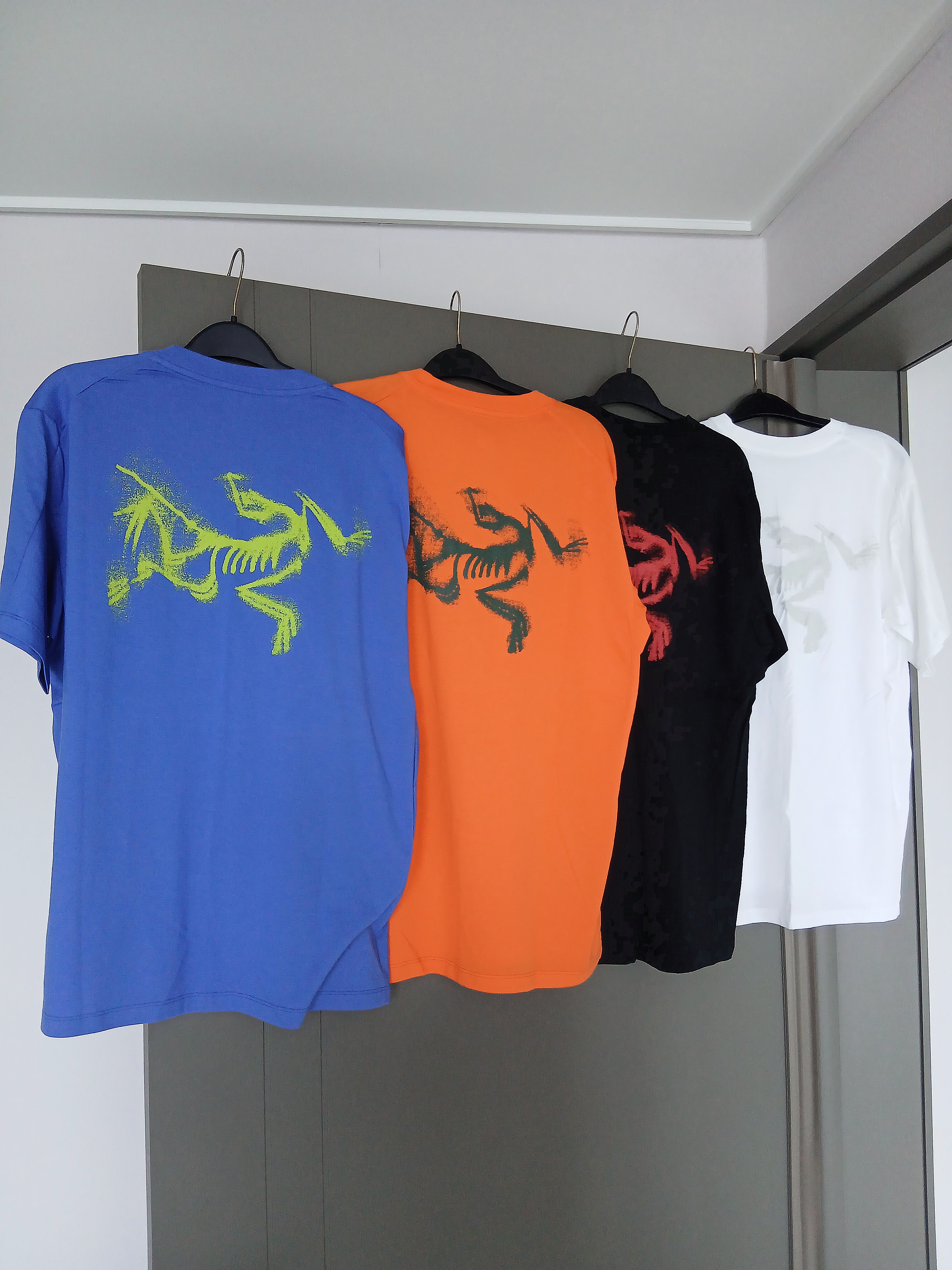 Arc'teryx Kragg SL Cotton Blurred Bird SS T-Shirt Black Dynasty, Arc'teryx Kragg SL Cotton Blurred Bird SS T-Shirt White Light Atmos 착용 스타일 - 1