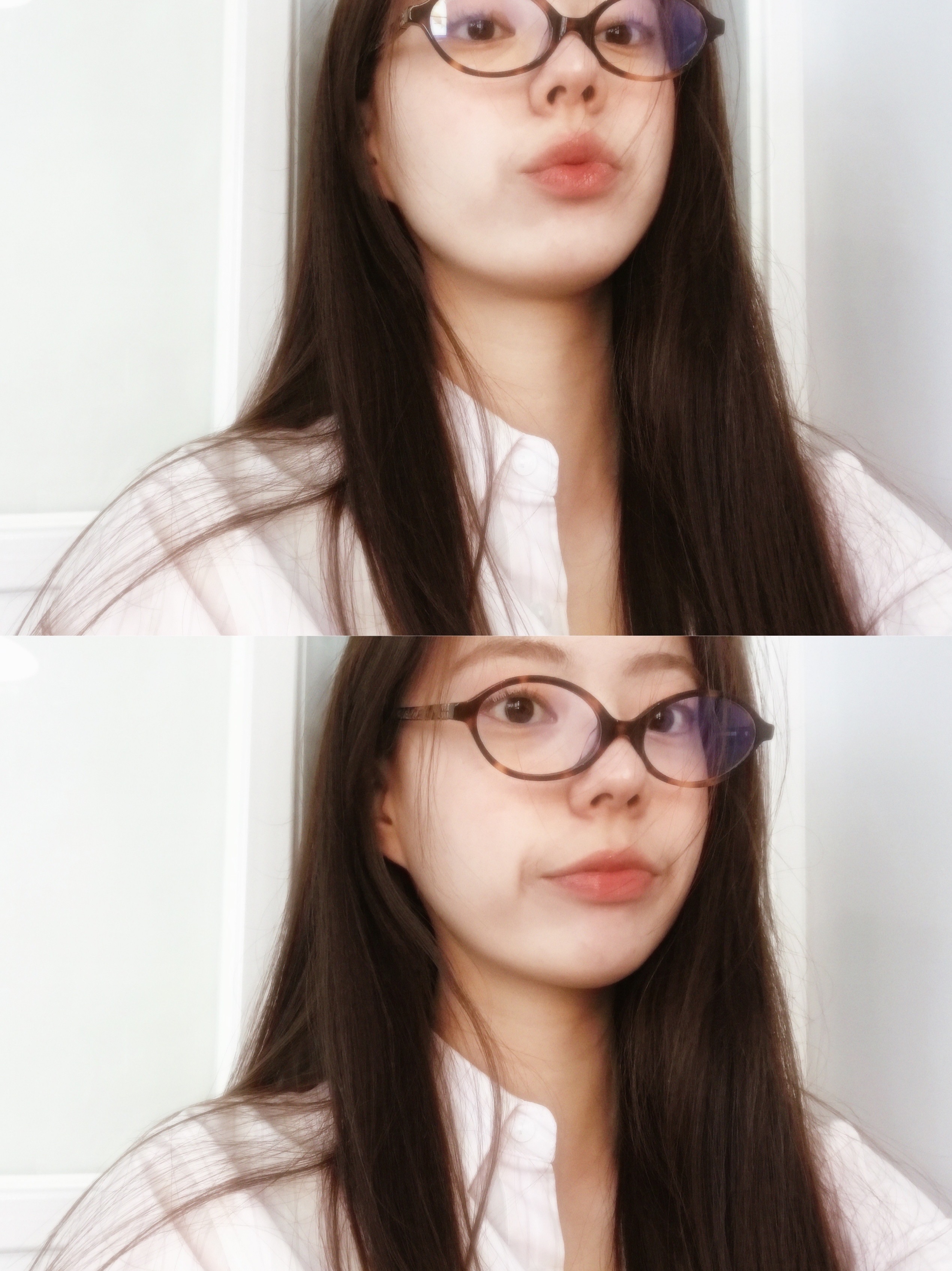 (W) Miu Miu Regard Sunglasses Blue Lenses Honey Tortoiseshell Acetate Standard fit 착용 스타일