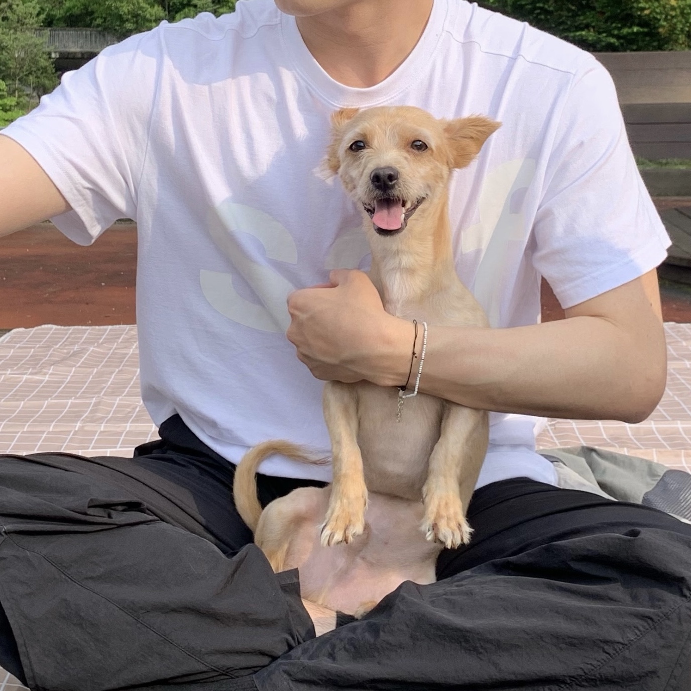 [예약 배송][KREAM 단독] Safarispot Basic Safari T-Shirt White, Adidas Samba OG Black White Gum 착용 스타일 - 1
