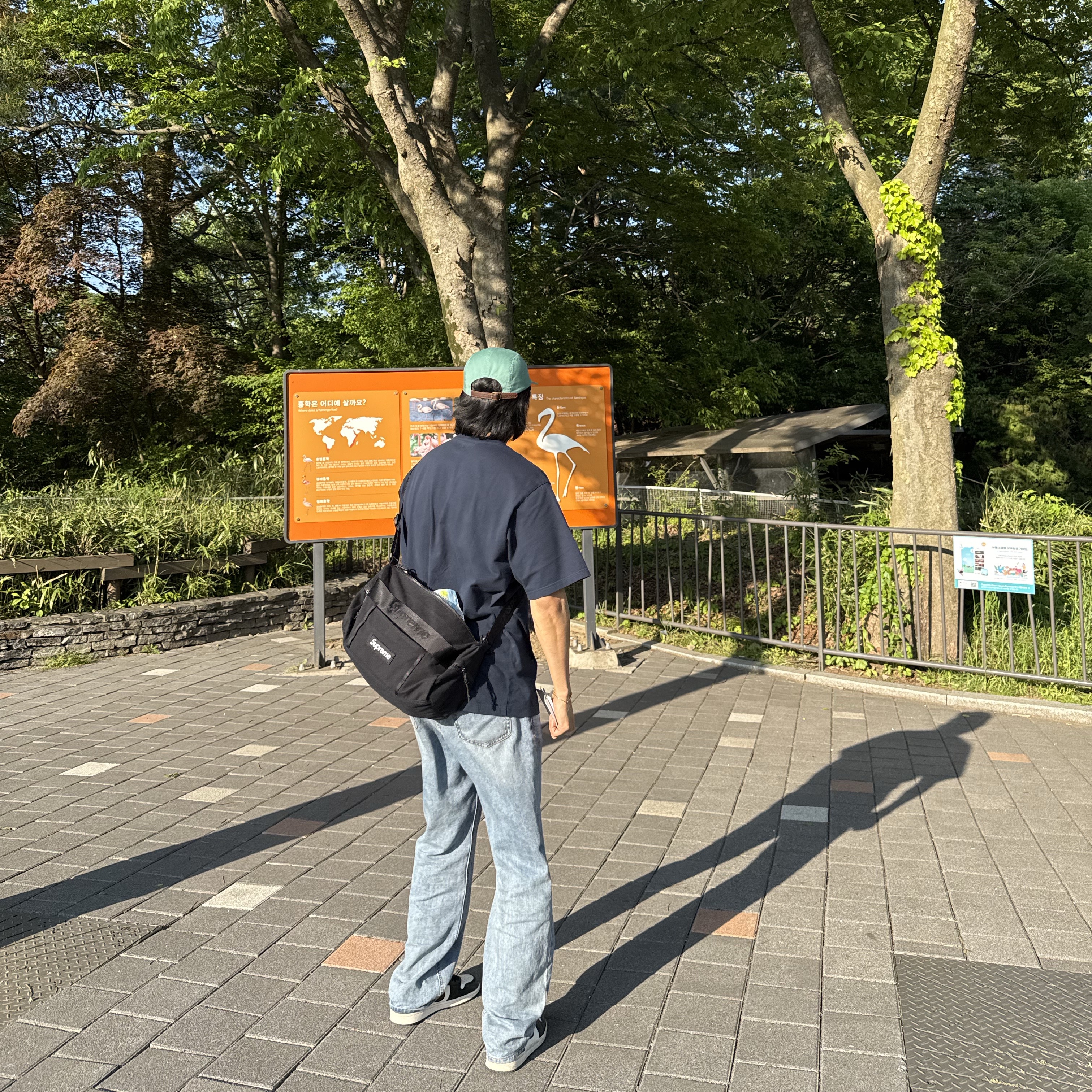 Supreme Small Box T-Shirt Navy - 25SS, Supreme Washed Chino Twill Camp Cap Sage - 25SS 착용 스타일 - 2