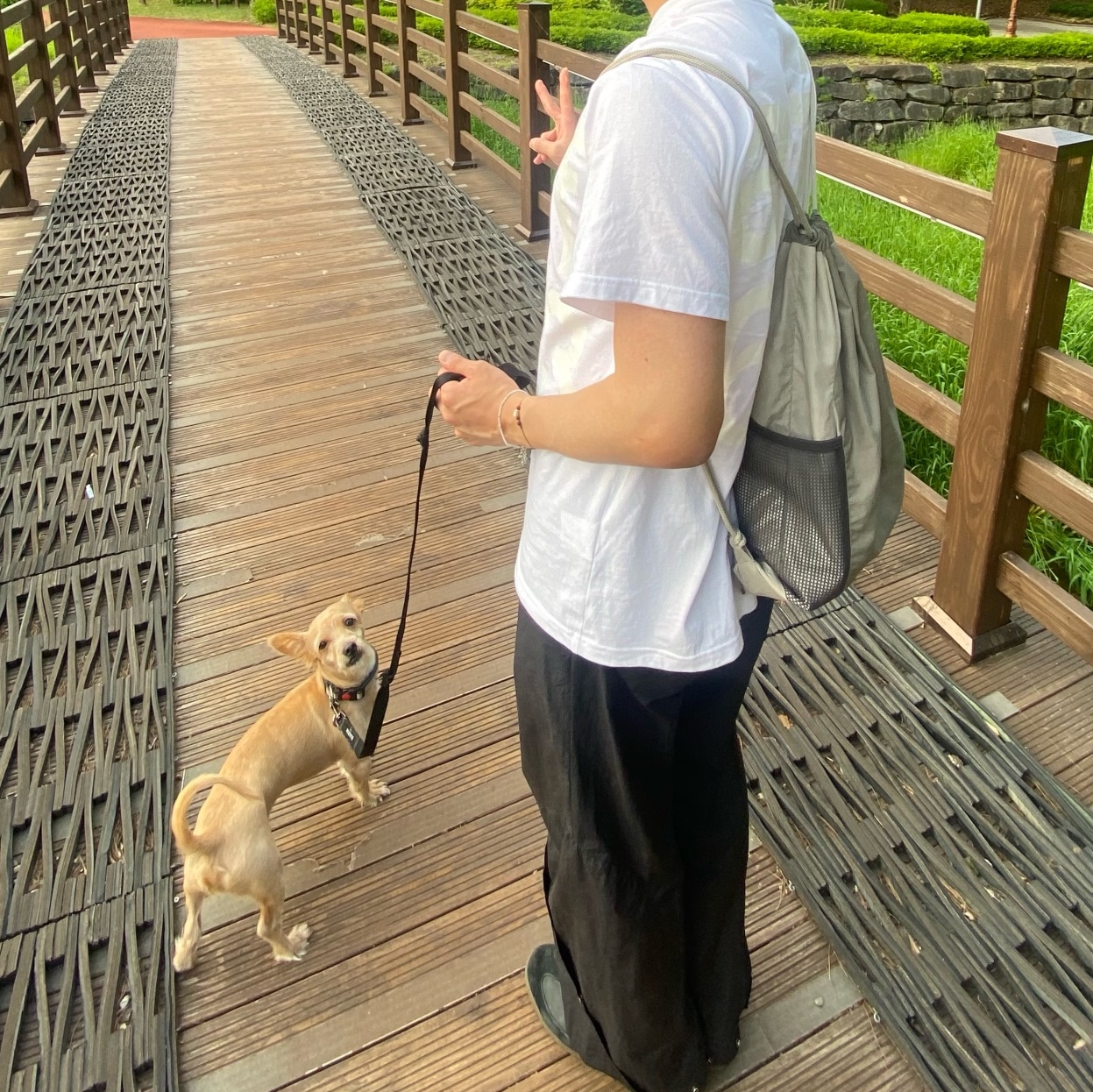 [예약 배송][KREAM 단독] Safarispot Basic Safari T-Shirt White, Adidas Samba OG Black White Gum 착용 스타일 - 3