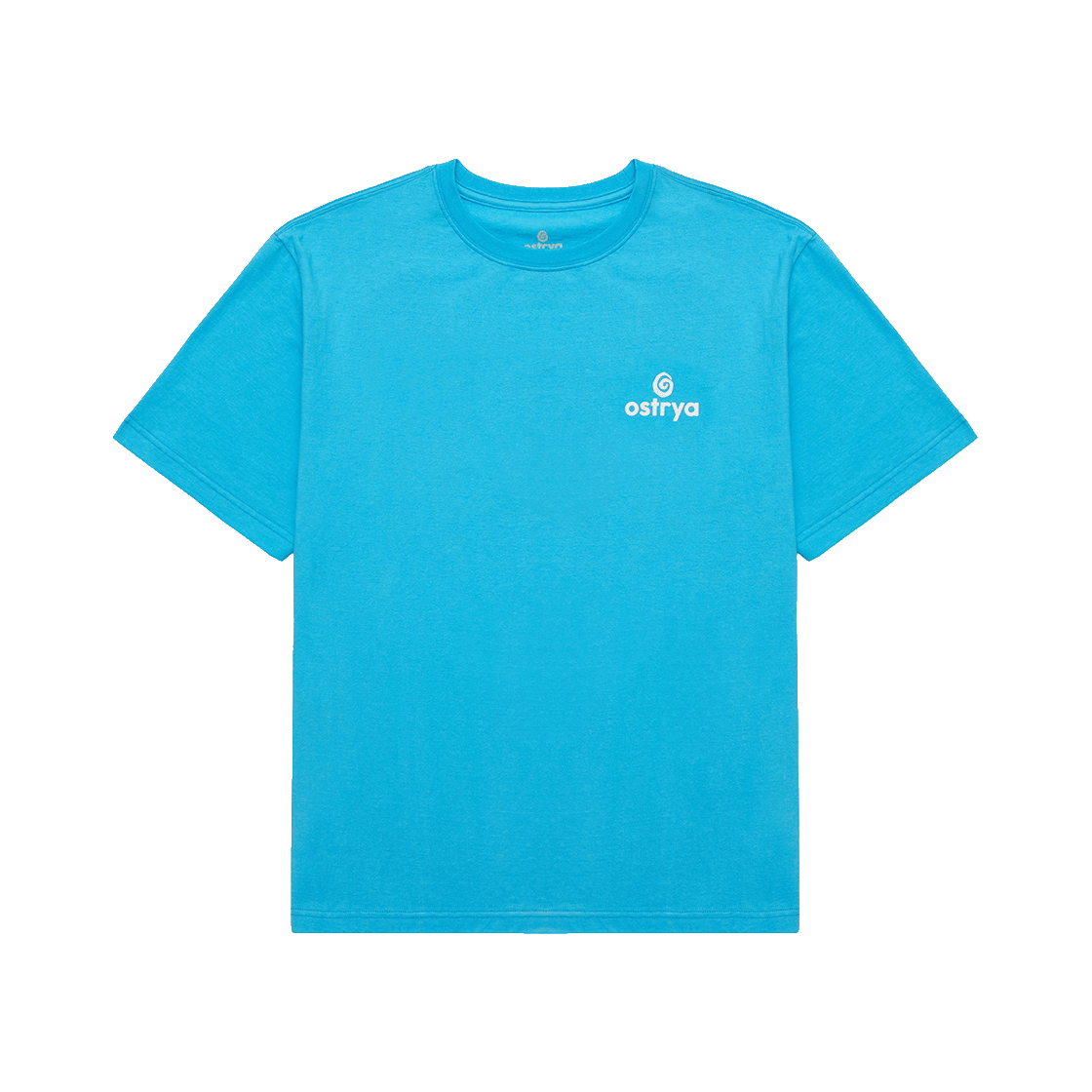 오스트리야 코어 로고 헤비 듀티 스카이 블루(Ostrya Core Logo Heavy Du-Tee Sky Blue)