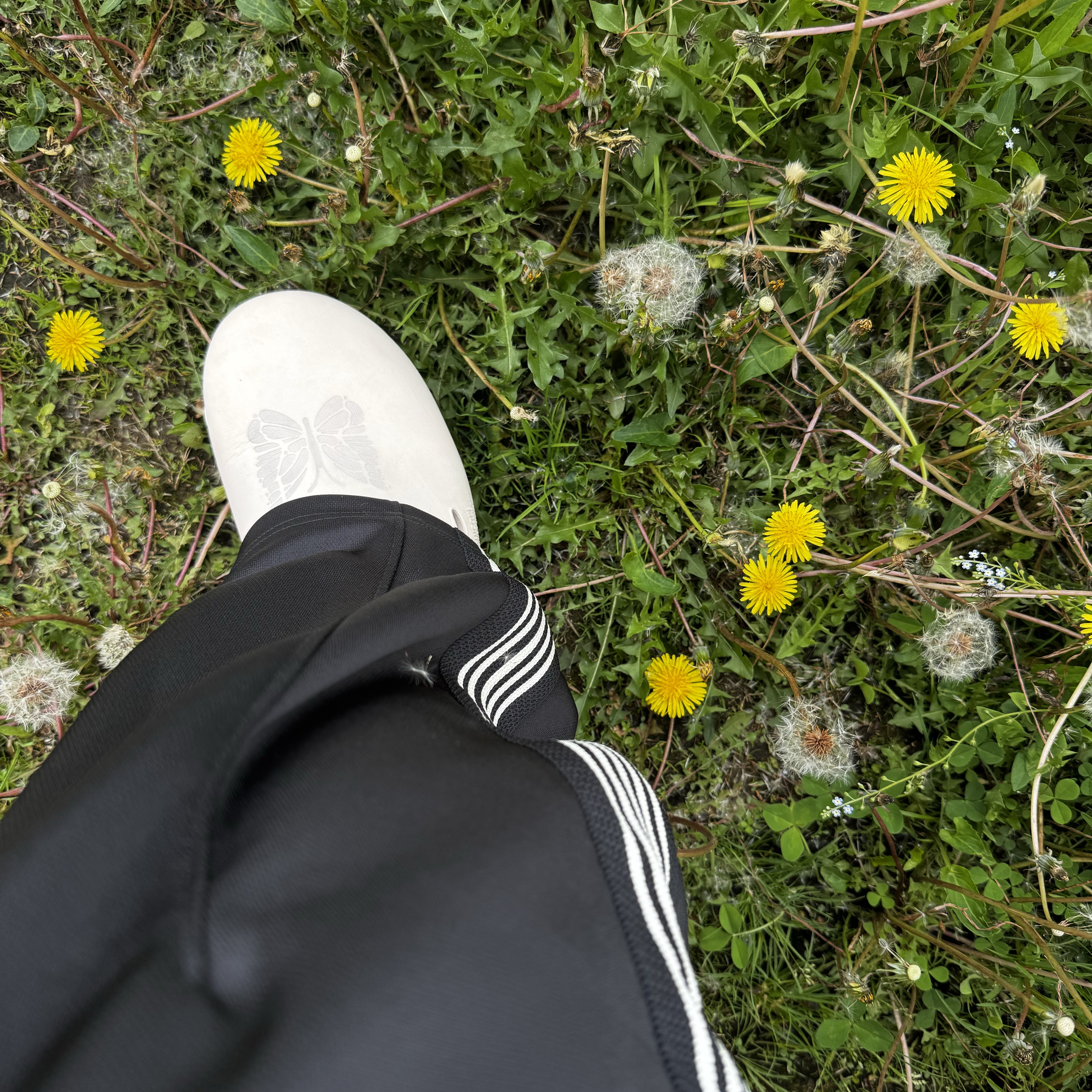 Suicoke x Needles Papillon Cappo Sandals Beige, Needles x LHP H.D. Track Pants Black 착용 스타일