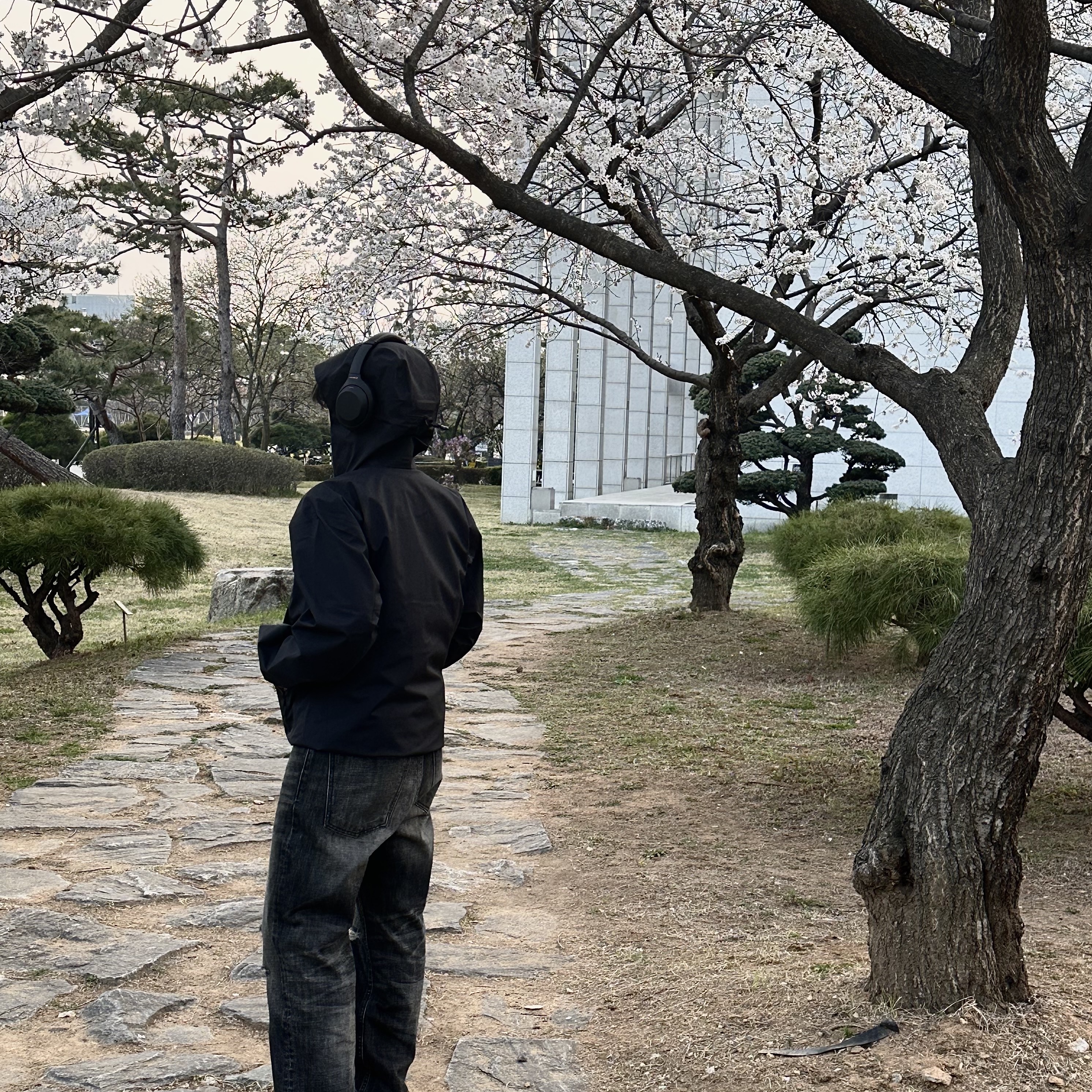 Arc'teryx Beta Jacket Black, Sony WH-1000XM5 Black (Korean Ver.) 착용 스타일 - 2