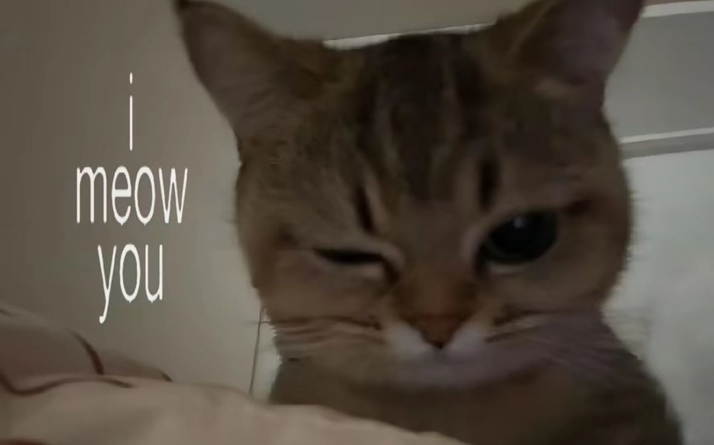 관심 유저 프로필 이미지