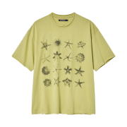 Hatchingroom Starfish T-shirt Avocado