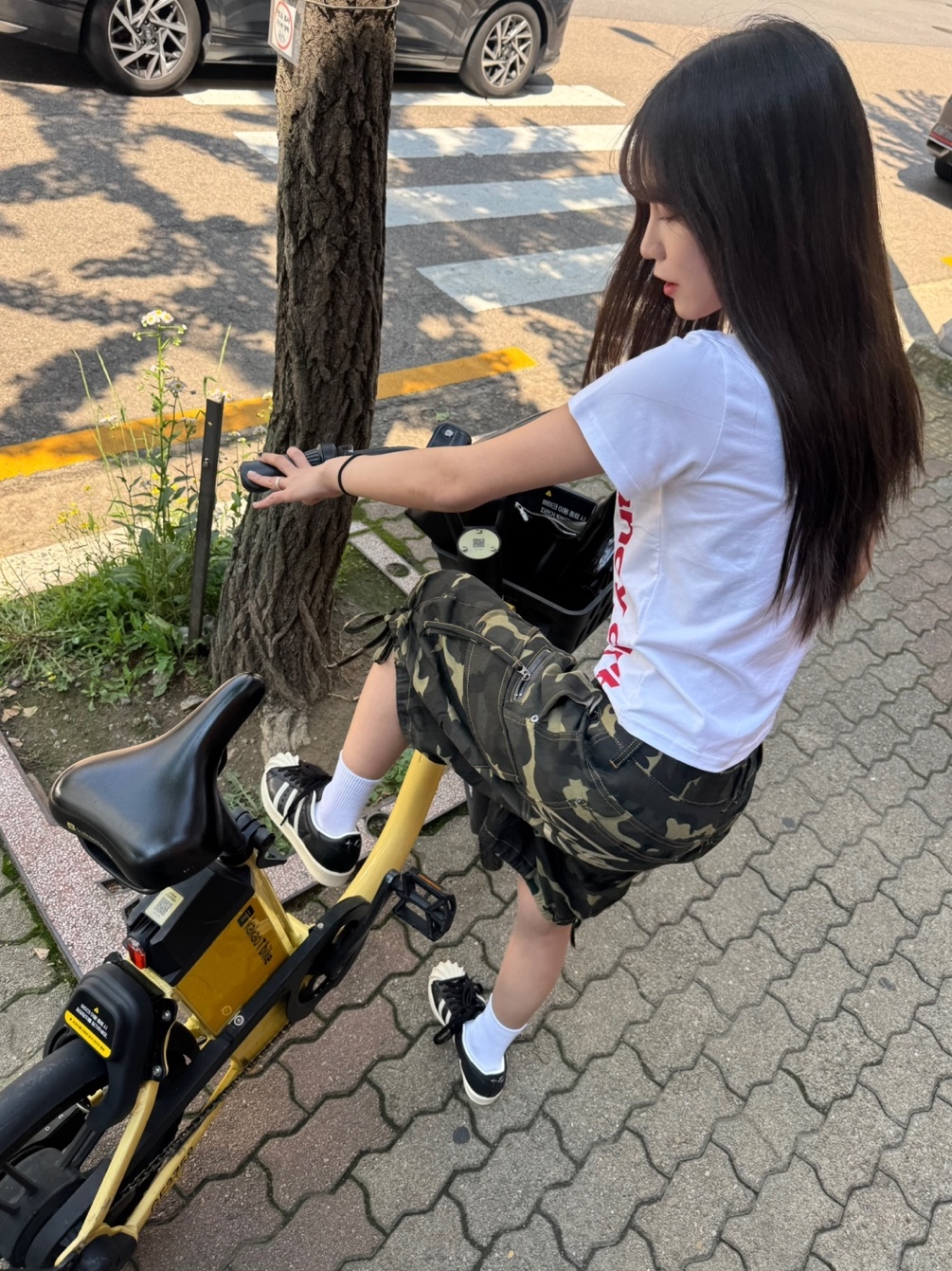 ์์
์ด๋ฏธ์ง