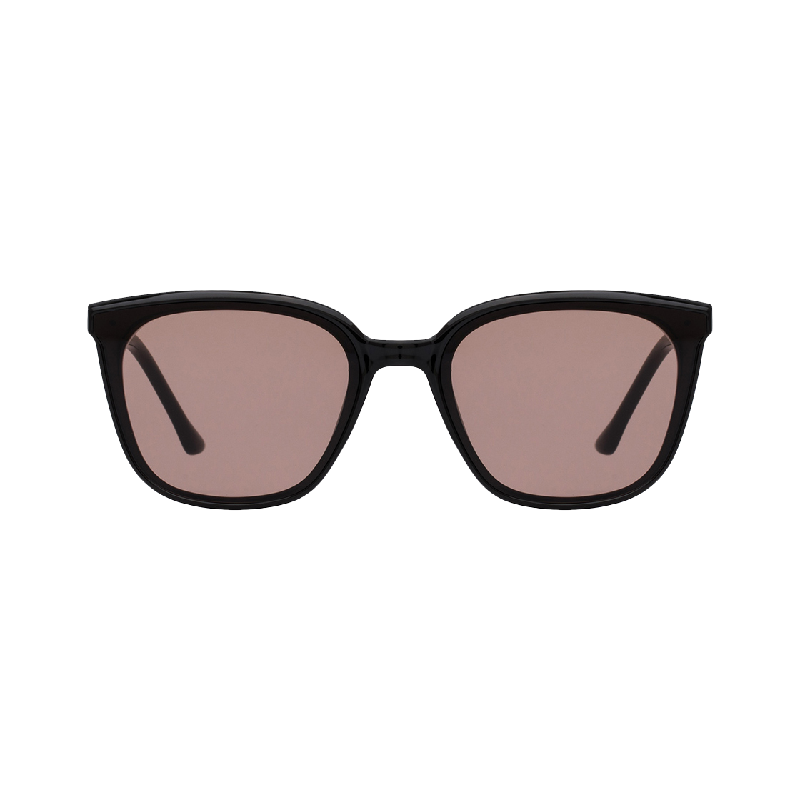 Roche Sunglass Brown RECLOW Roche Sunglass Brown