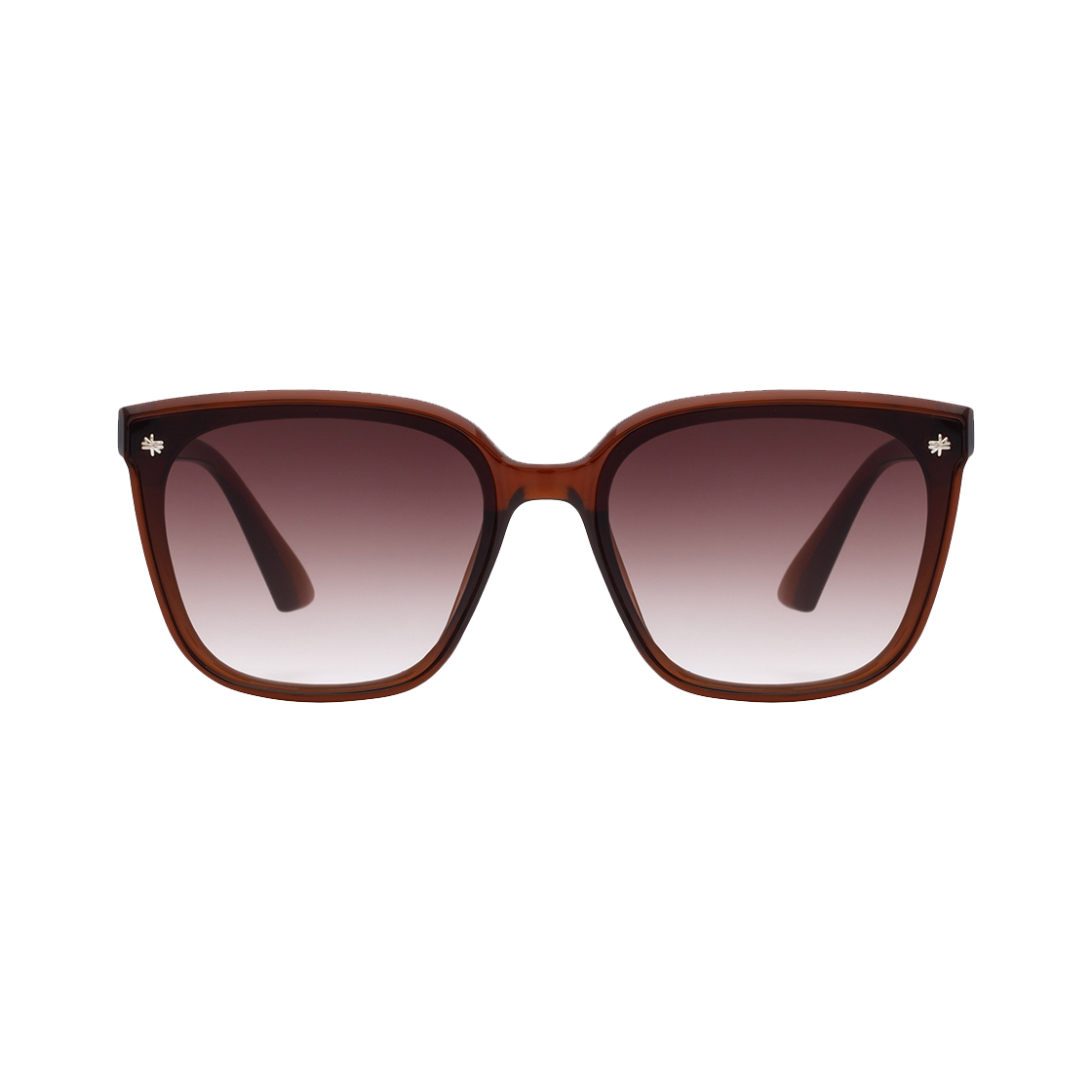 Snow Sunglass Brown RECLOW Snow Sunglass Brown