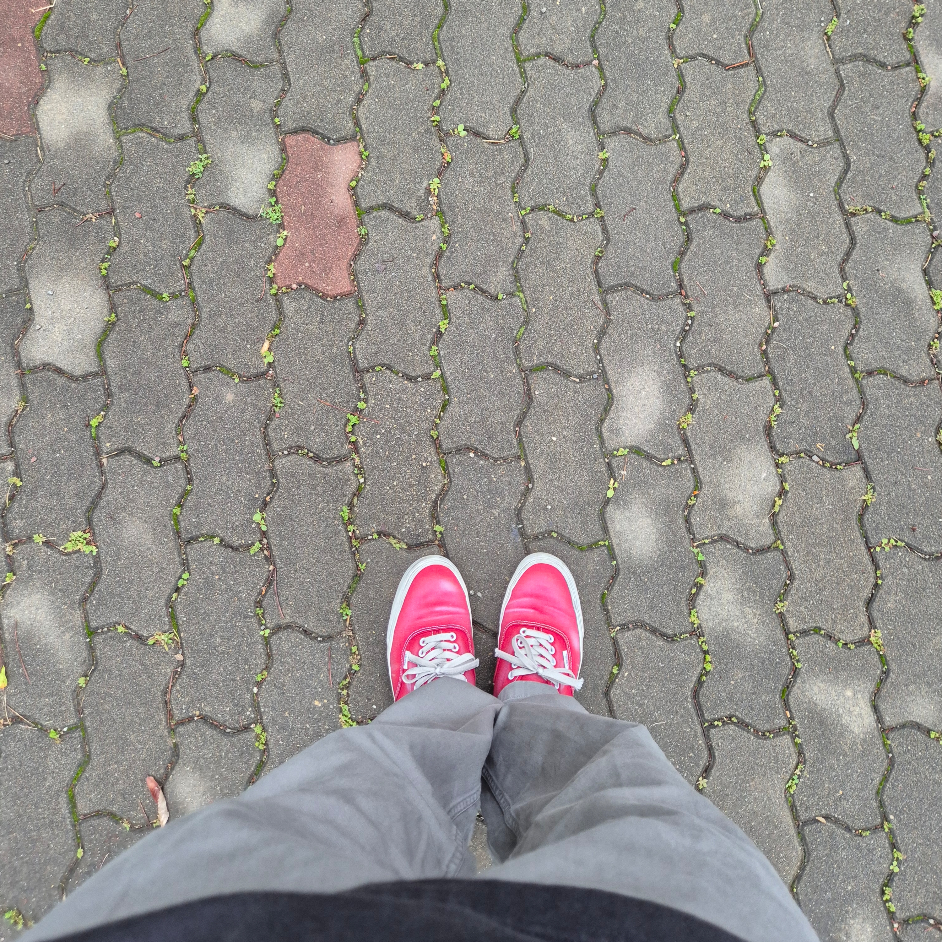 Vans Authentic Wave Washed Red 착용 스타일