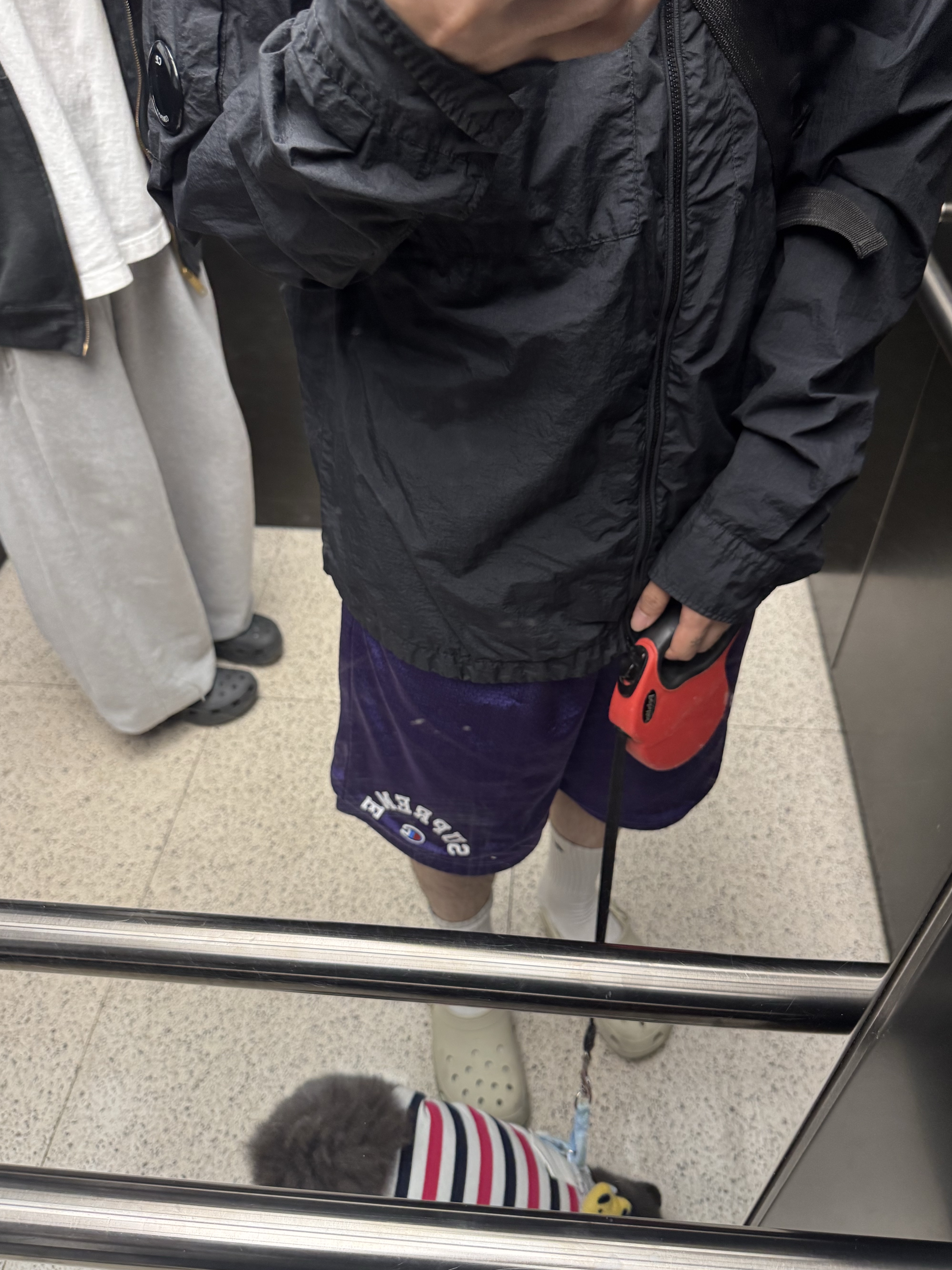 Supreme x Champion Mesh Short Purple - 24SS, C.P. Company Taylon L Shirt Total Eclipse Blue - 23SS 착용 스타일