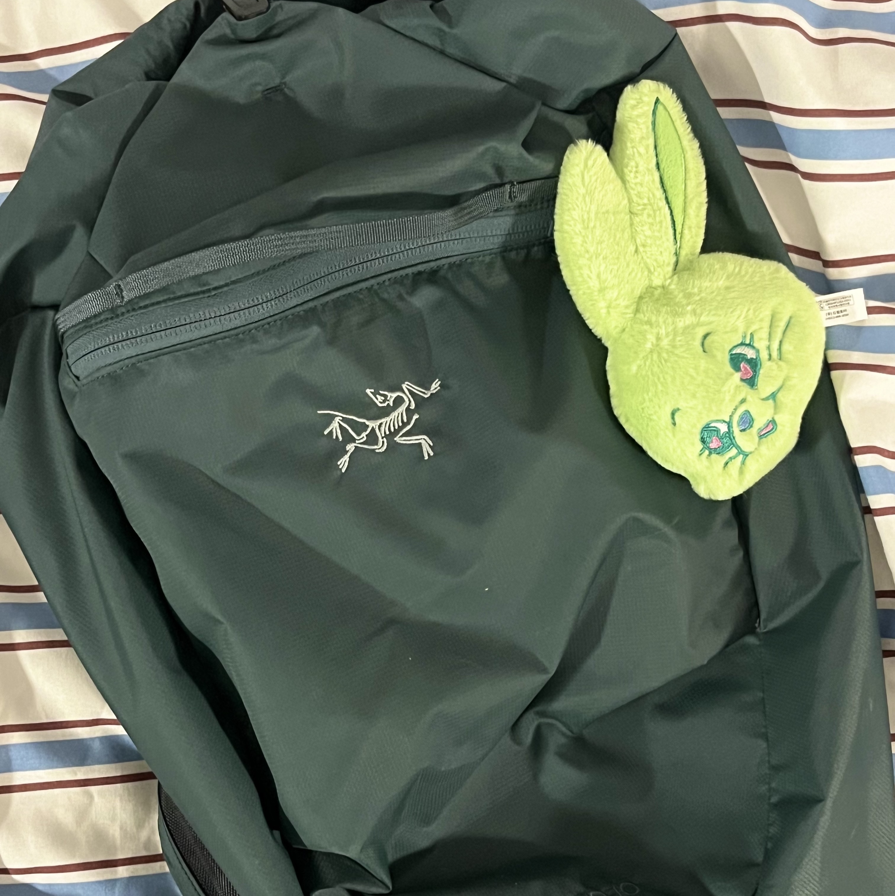 NewJeans Tokki Merchandise Fluffy Keyring Green 착용 스타일