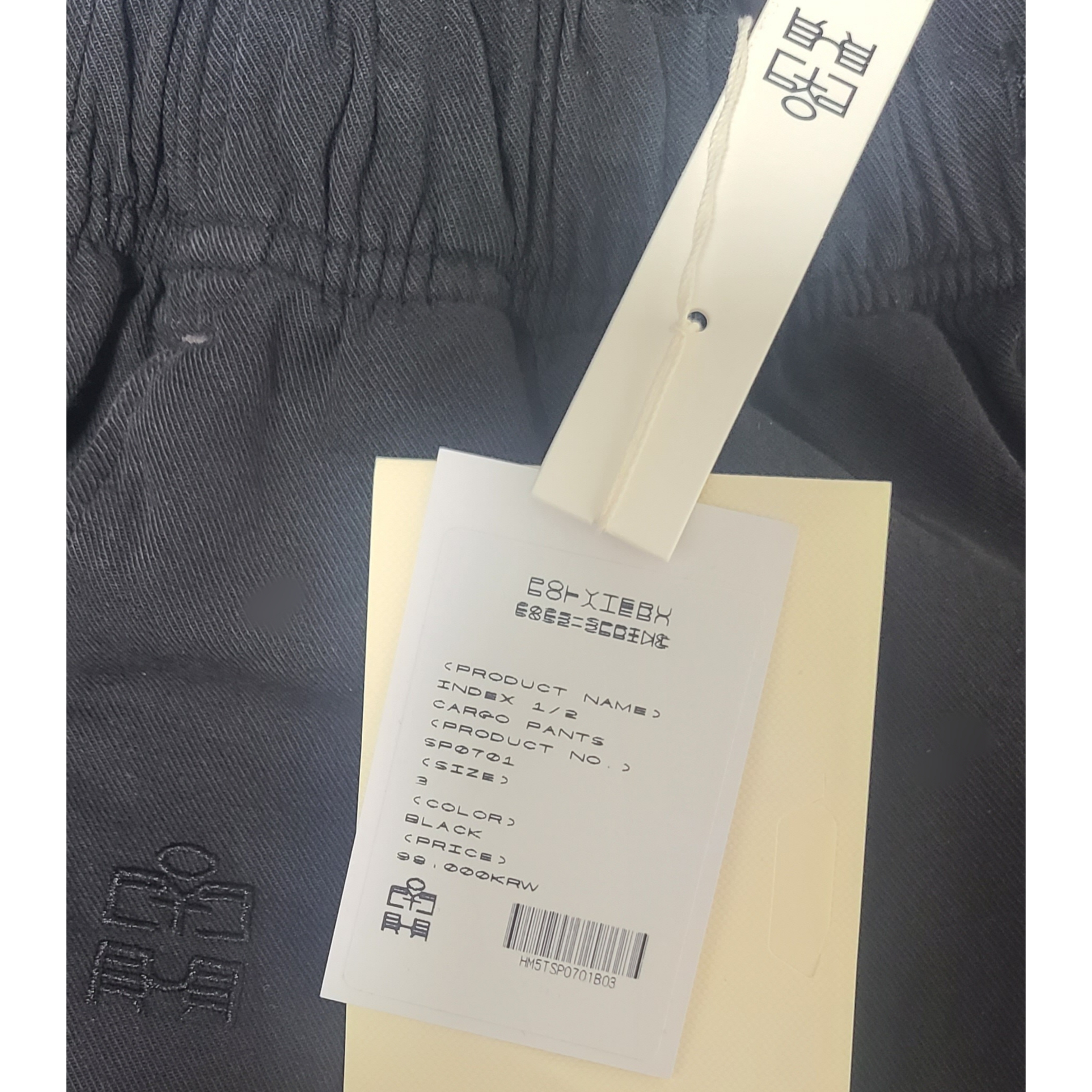 Polyteru Human Index index 1/2 Cargo Pants Black 착용 스타일 - 1