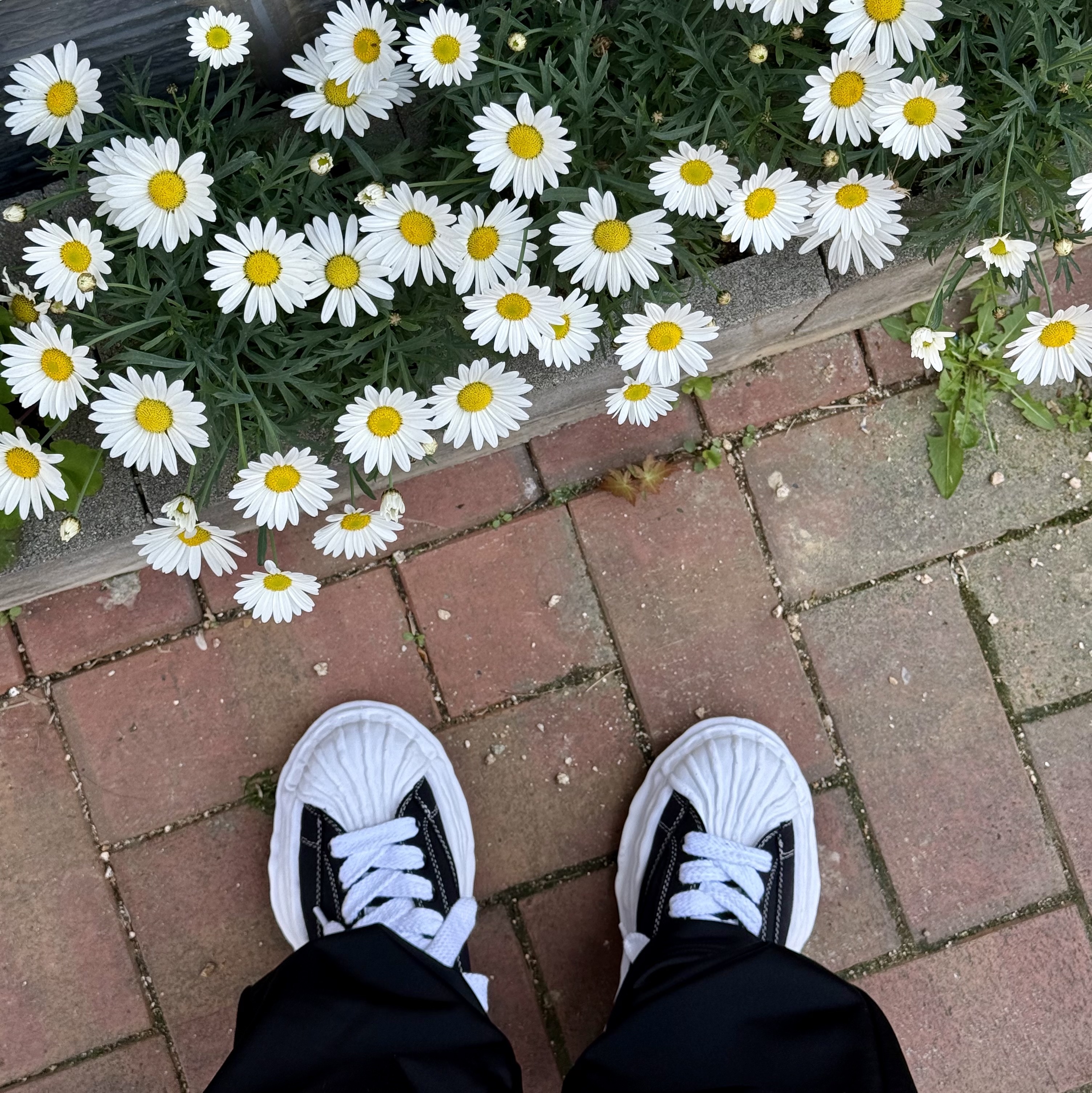 Maison Mihara Yasuhiro Blakey OG Sole Canvas Low-top Sneakers Black White 착용 스타일