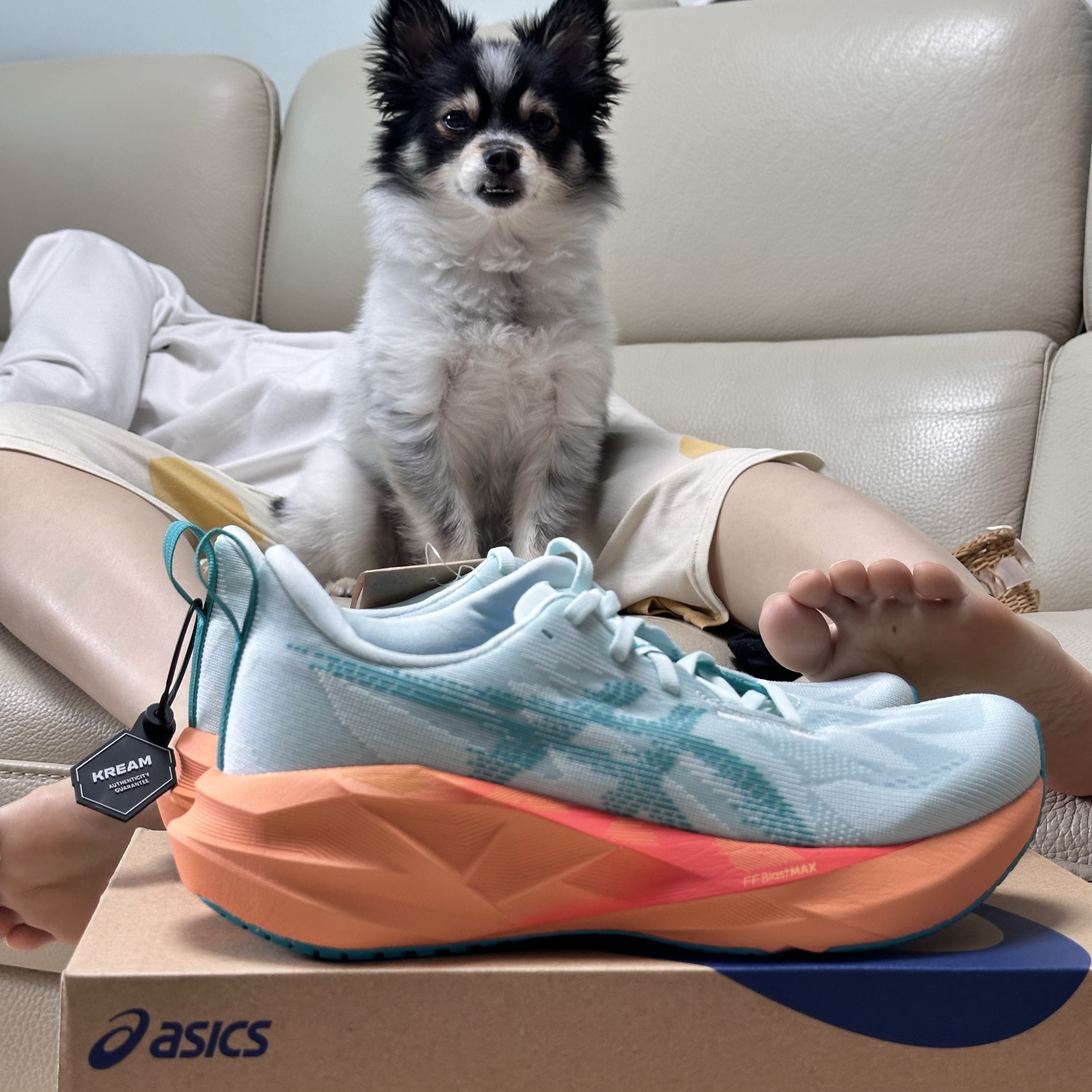 Asics Novablast 5 Soothing Sea Wave Teal 착용 스타일 - 2