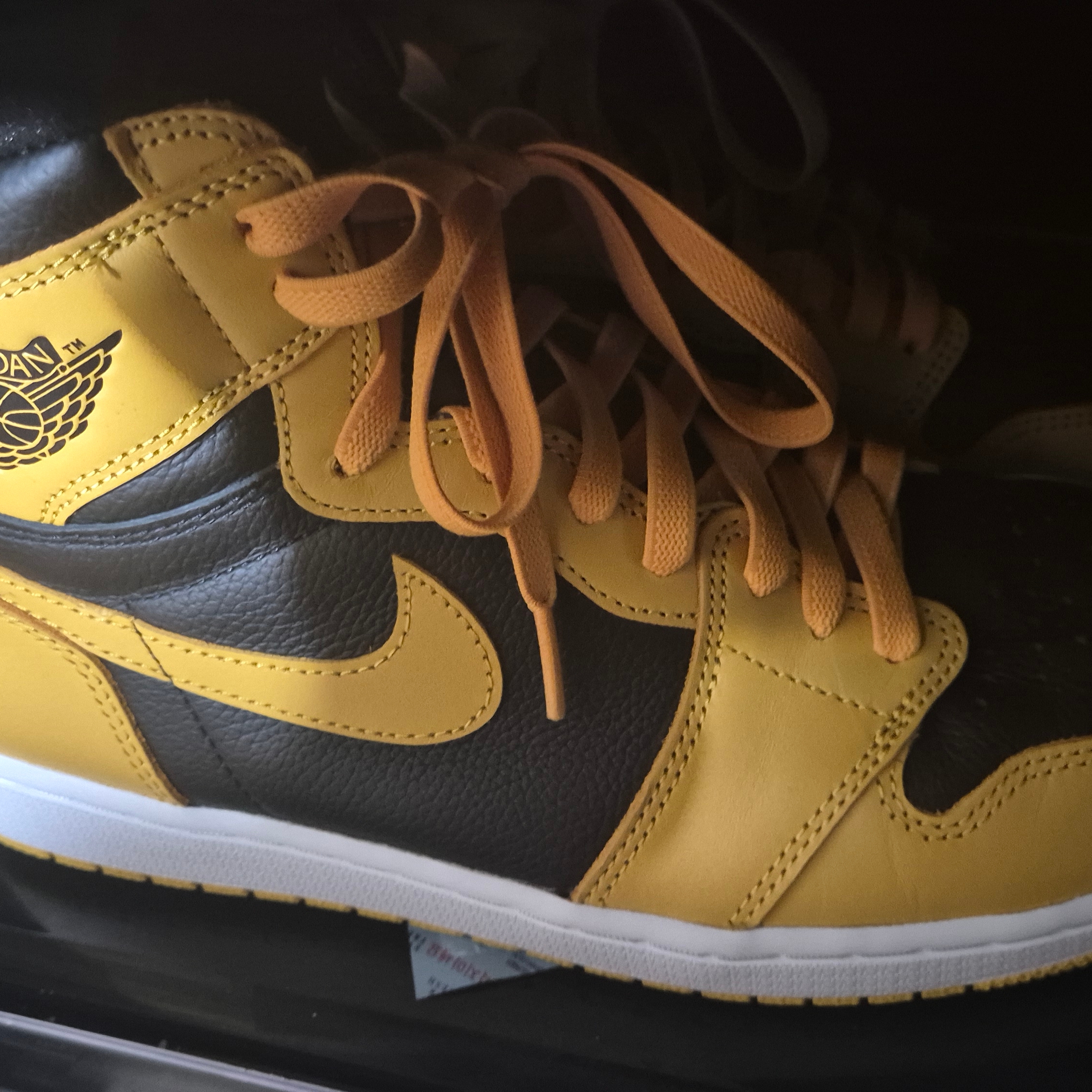 Jordan 1 Retro High OG Pollen 착용 스타일