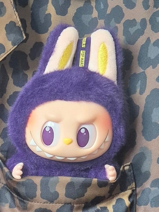 Pop Mart Labubu x Pronounce Lucky Fairy Toy Keyring 착용 스타일