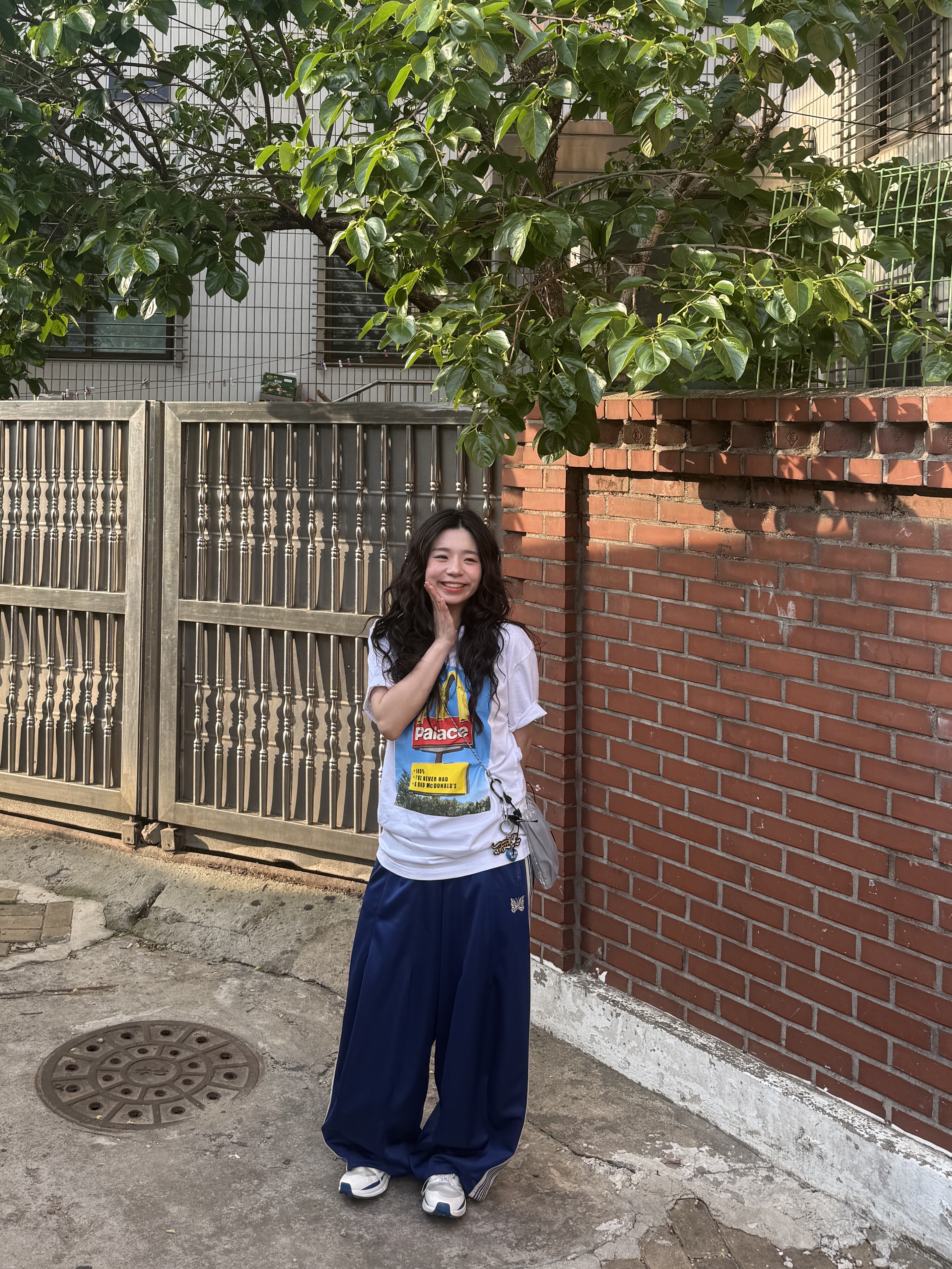Needles H.D. Track Pants Poly Smooth Royal, Palace x McDonald's Sign T-Shirt White - 23FW 착용 스타일