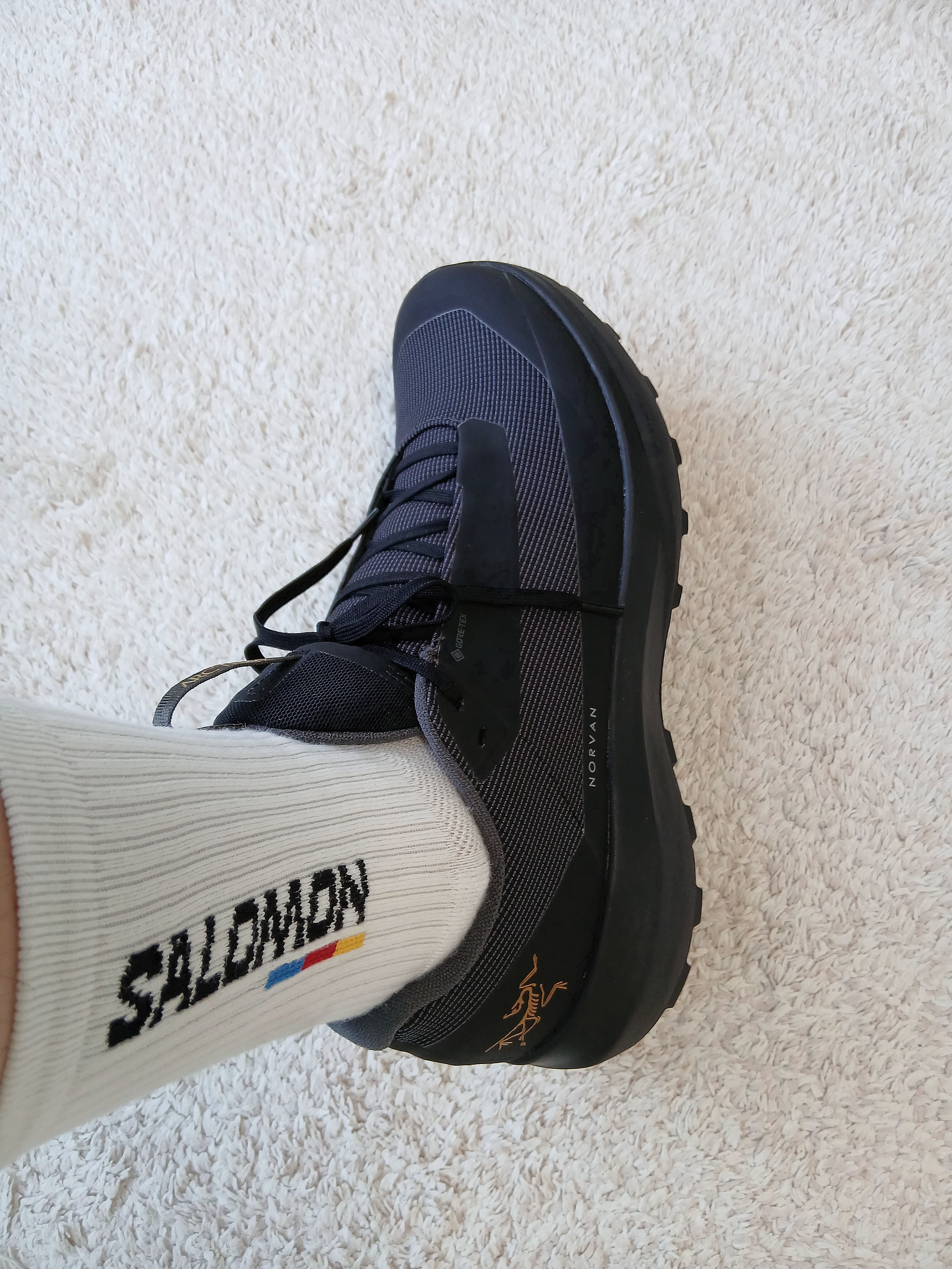 Arc'teryx Norvan LD 4 GTX Black 착용 스타일 - 3