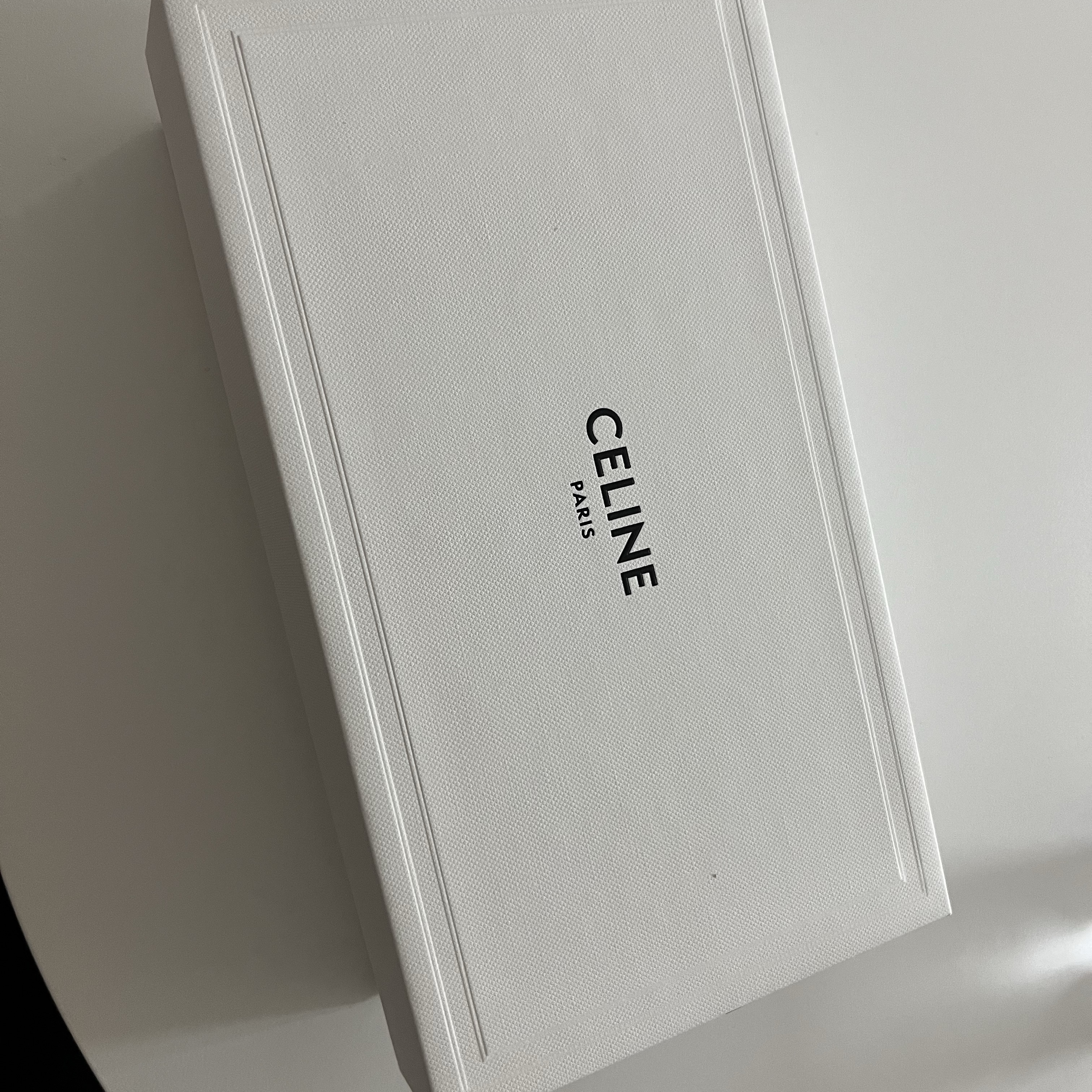 (W) Celine Triomphe 01 Sunglasses in Acetate Black 착용 스타일 - 1