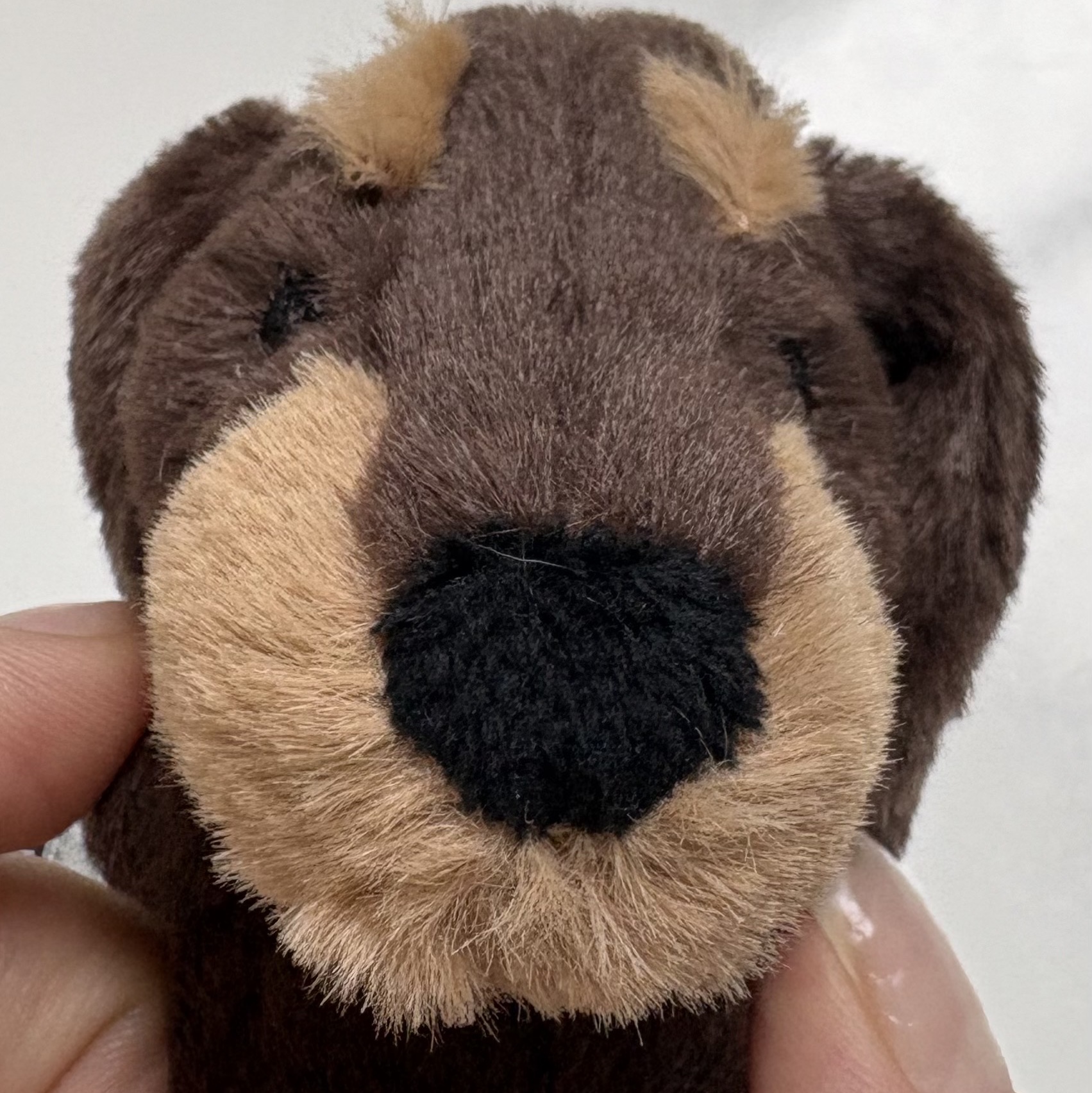 Jellycat Otto Sausage Dog Bag Charm Brown 착용 스타일