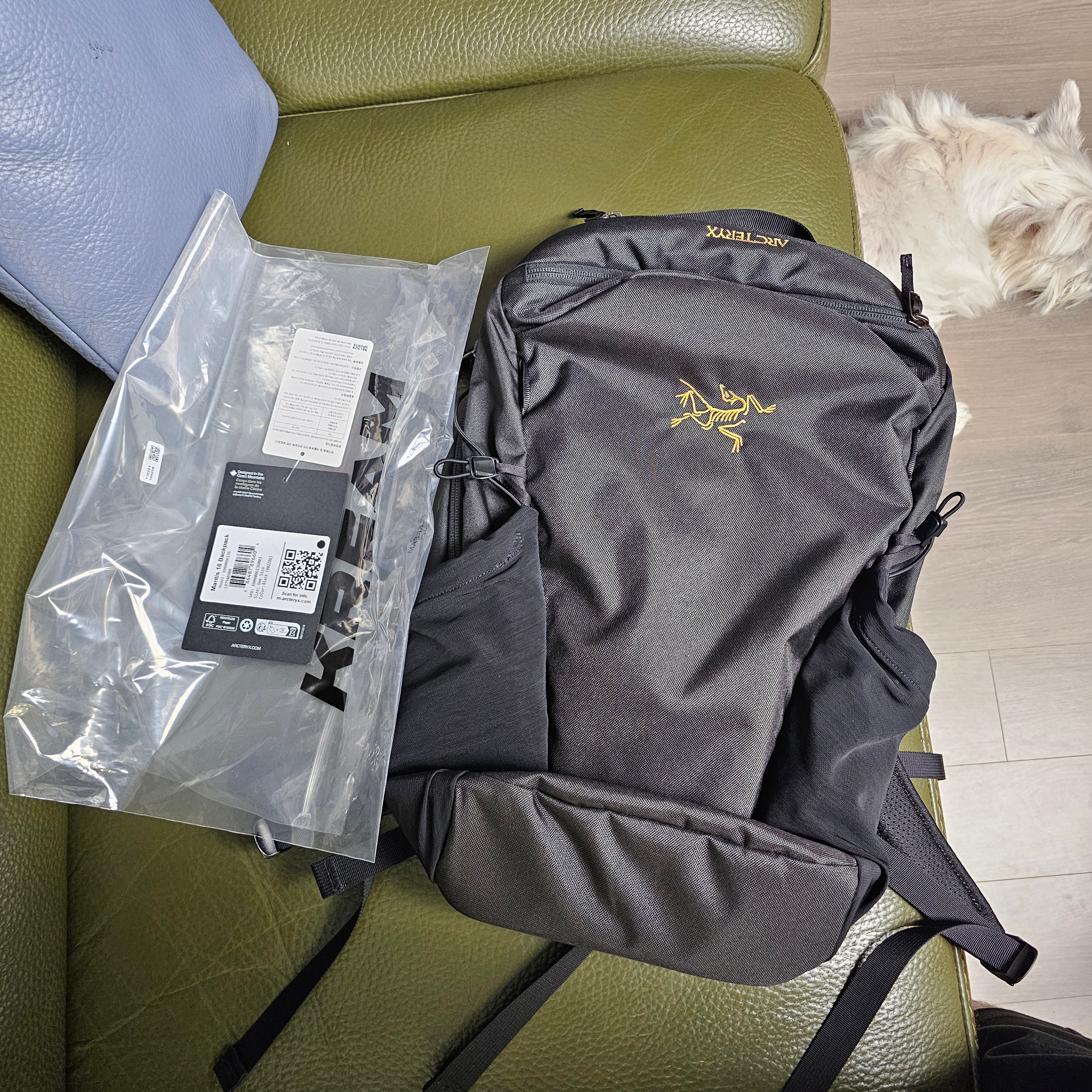 Arc'teryx Mantis 16 Backpack Black 착용 스타일 - 2