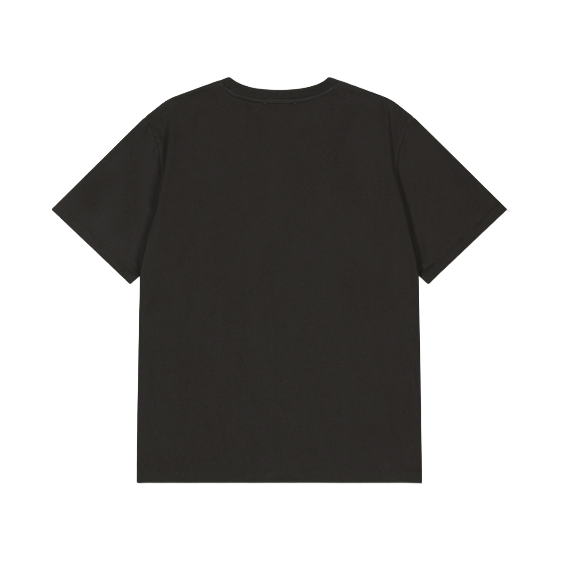 (W) 로우클래식 트리 티셔츠 딥 차콜((W) Low Classic Joshua Tree T-Shirt Deep Charcoal) - 2