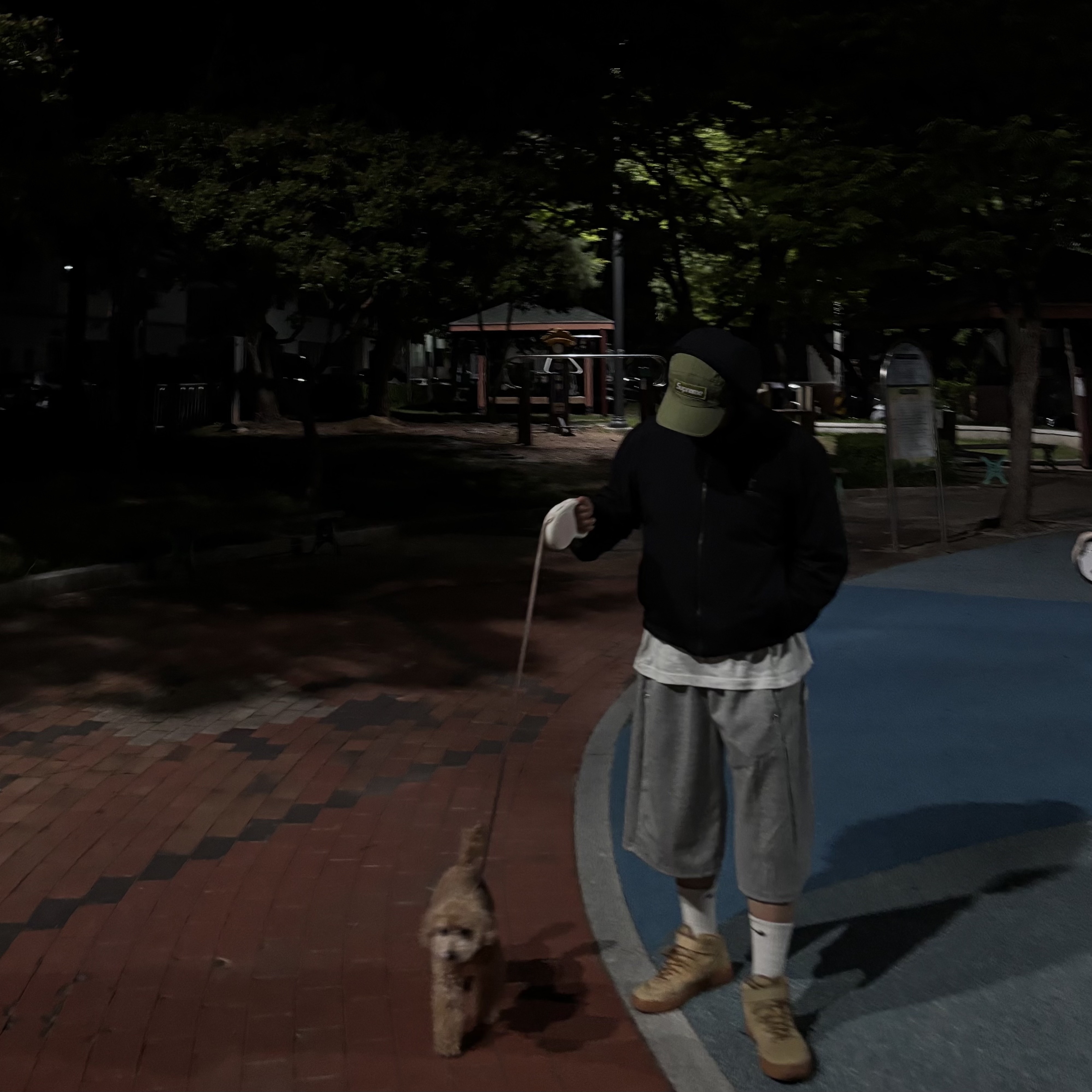 Nike Air Force 1 Mid Flax and Outdoor Green, Supreme Ventile Camp Cap Olive - 23SS 착용 스타일