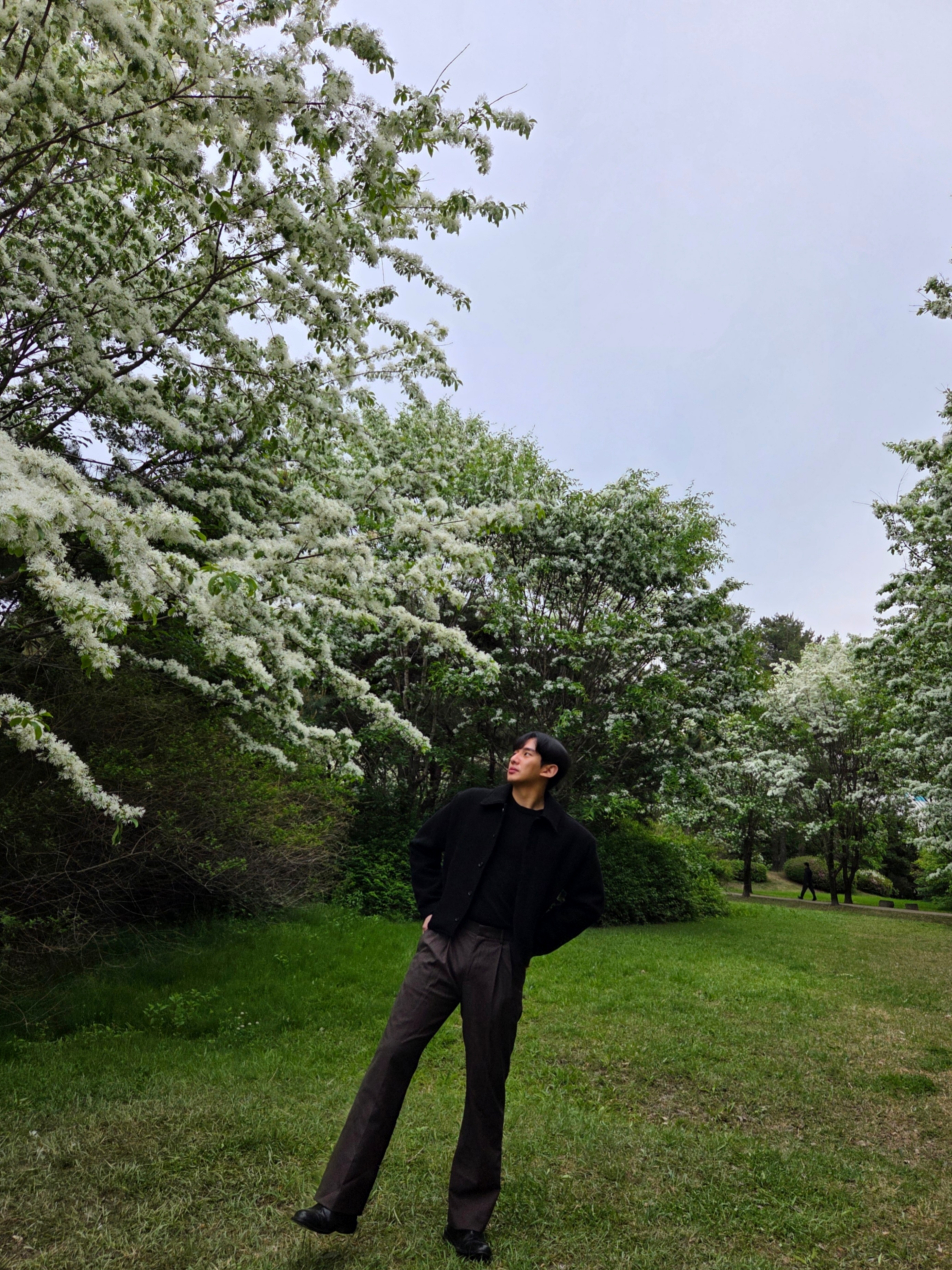 Auralee Light Wool Max Gabardine Two-Tuck Slacks Dark Brown - 25SS 착용 스타일