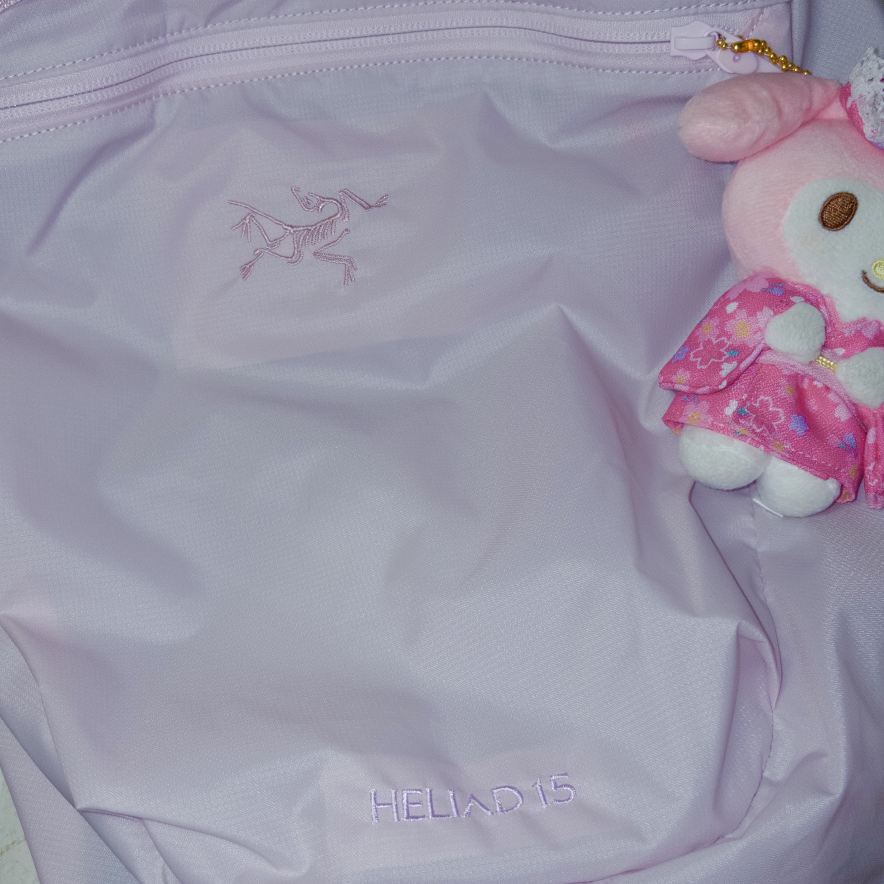 Arc'teryx Heliad 15 Backpack Pink Glow 착용 스타일 - 1