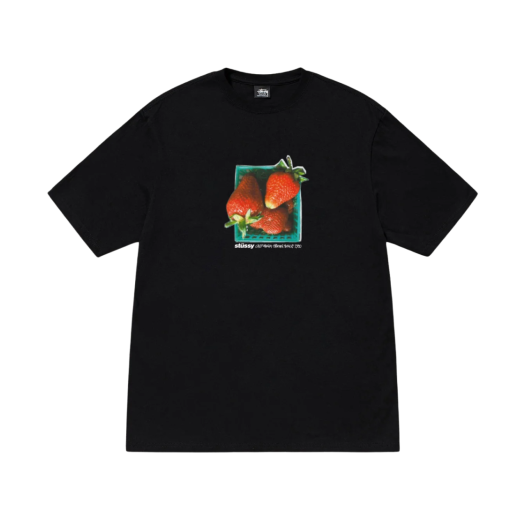 스투시 체리 티셔츠 스톰 | Stussy | KREAM