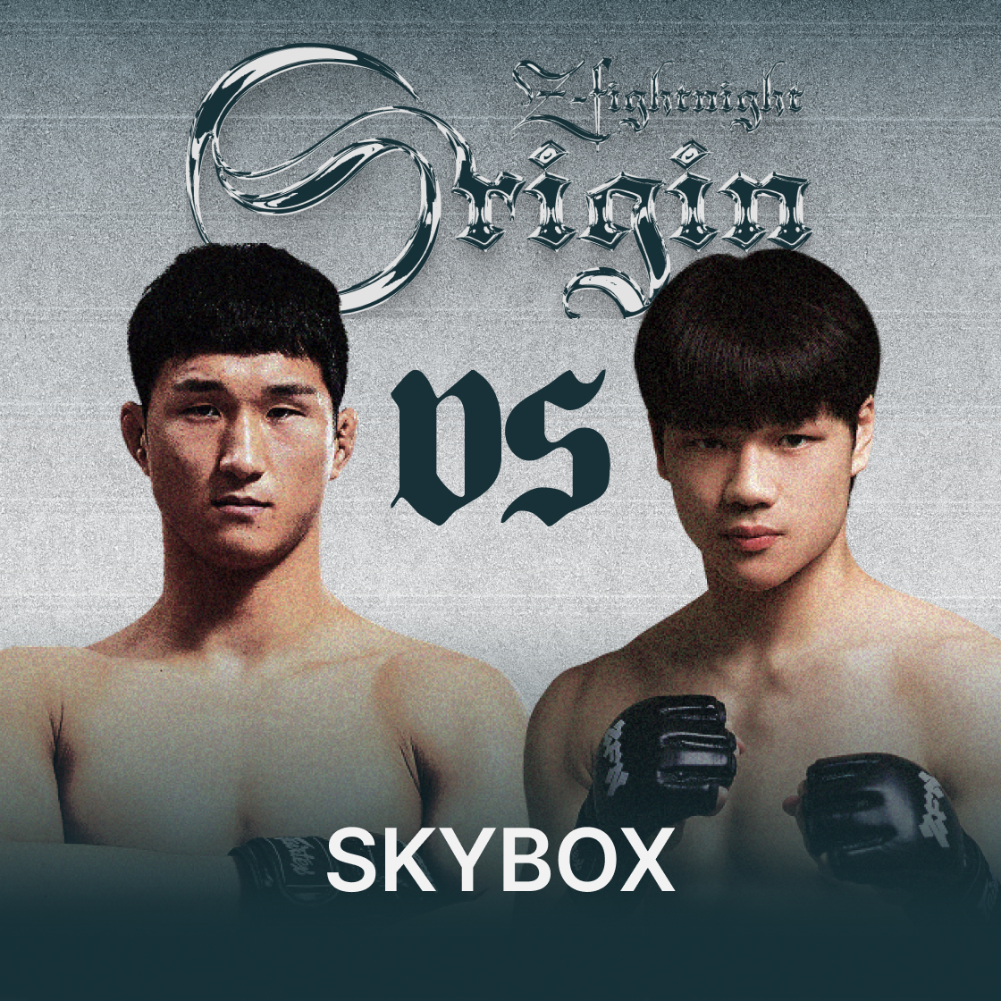 ZFNOGTK08 [ZFN ORIGIN 02] SKYBOX Section