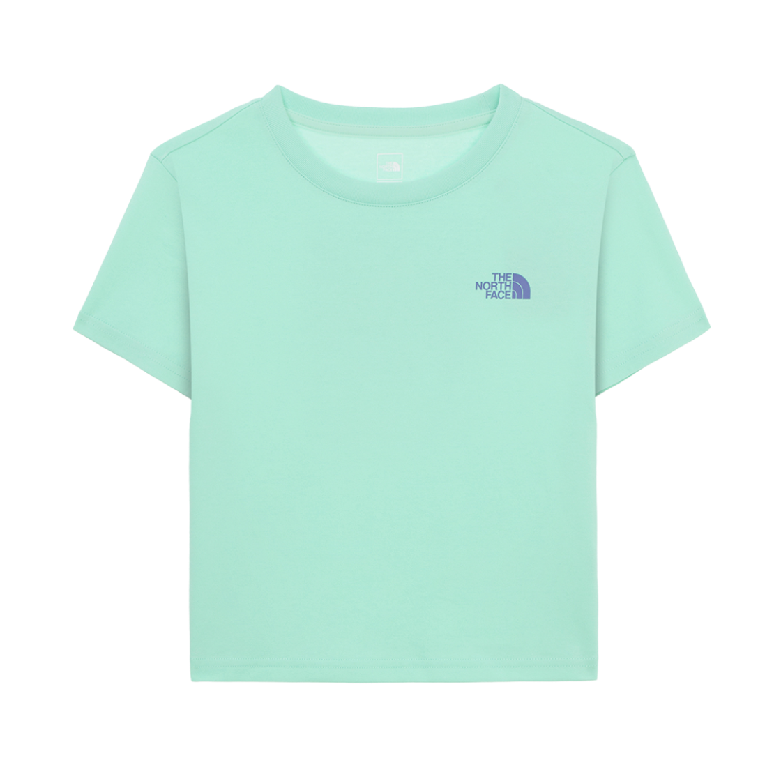 NT7UR32E (W) The North Face Floret S/S Round T-Shirt Pistachio Green - 25SS