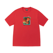 Stussy Berries T-Shirt Cayenne