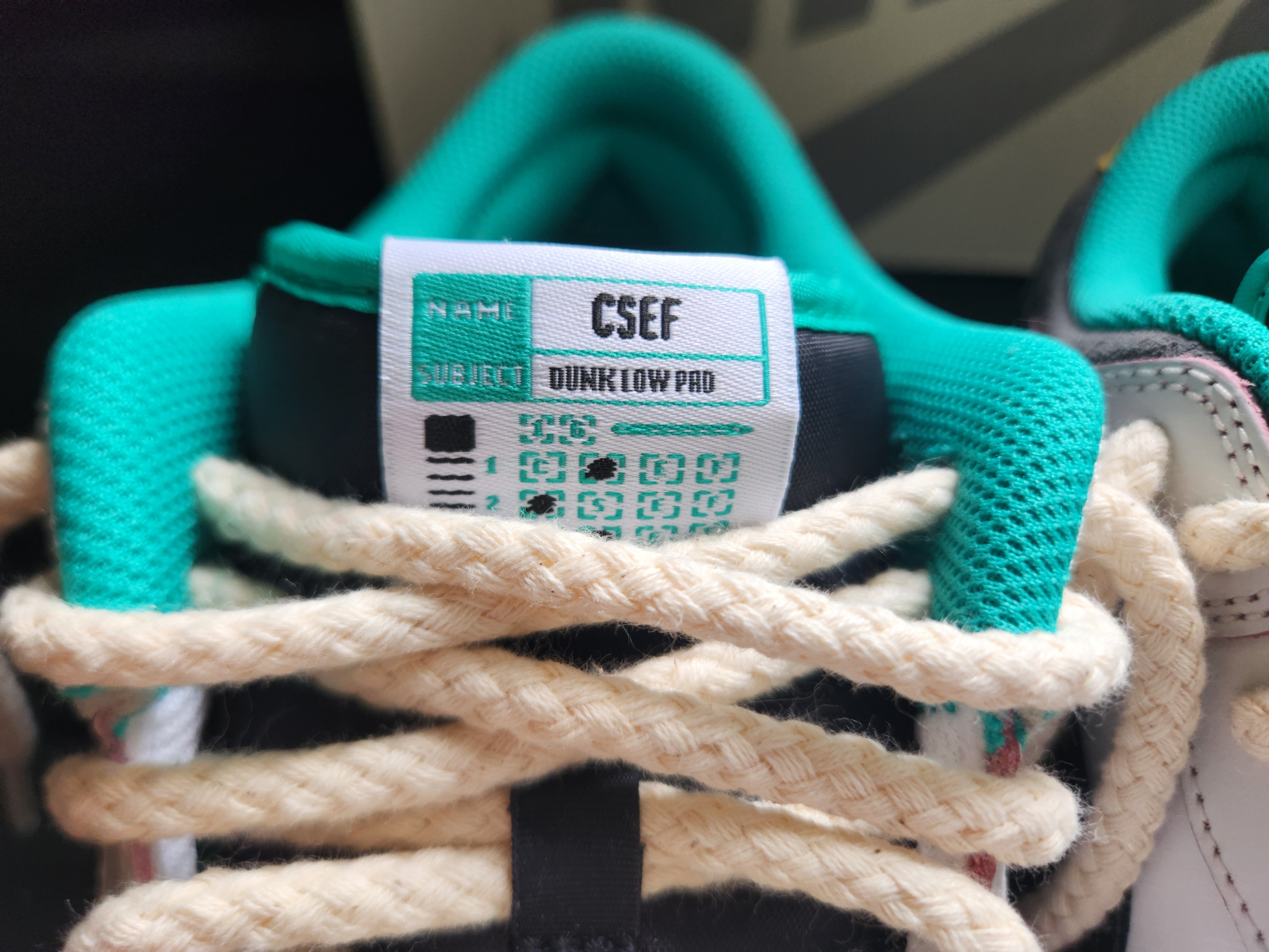 Nike x CSEF SB Dunk Low Pro White and Black 착용 스타일 - 5