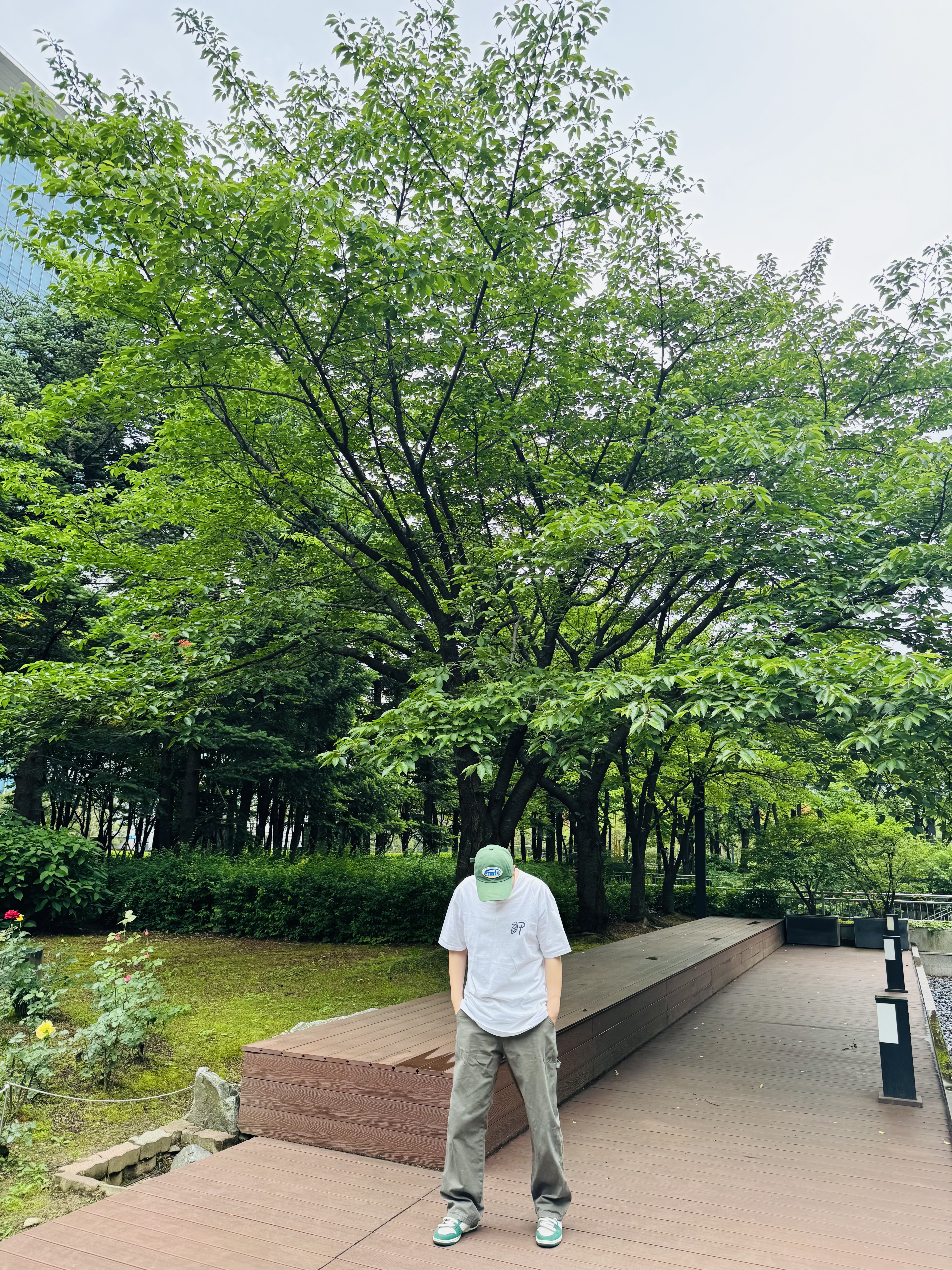 Emis Wappen Ball Cap Green, Stussy x Patta Sound Connection T-Shirt White 착용 스타일 - 5