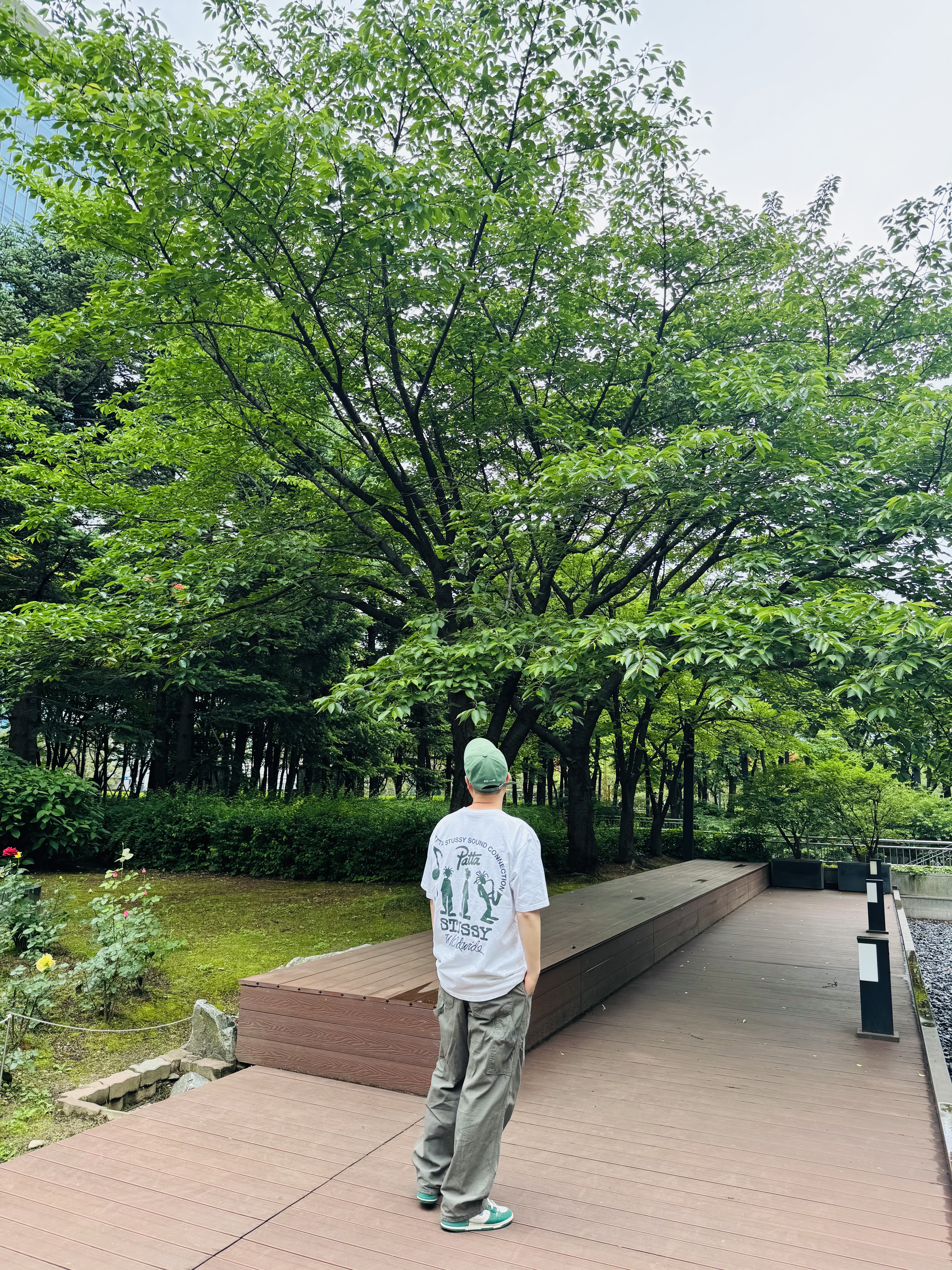Emis Wappen Ball Cap Green, Stussy x Patta Sound Connection T-Shirt White 착용 스타일 - 4