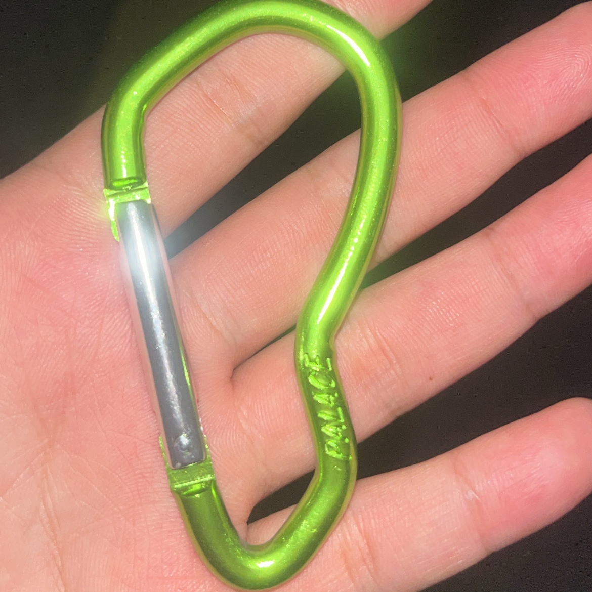 Palace Carabiner Lime Green - 25SS 착용 스타일