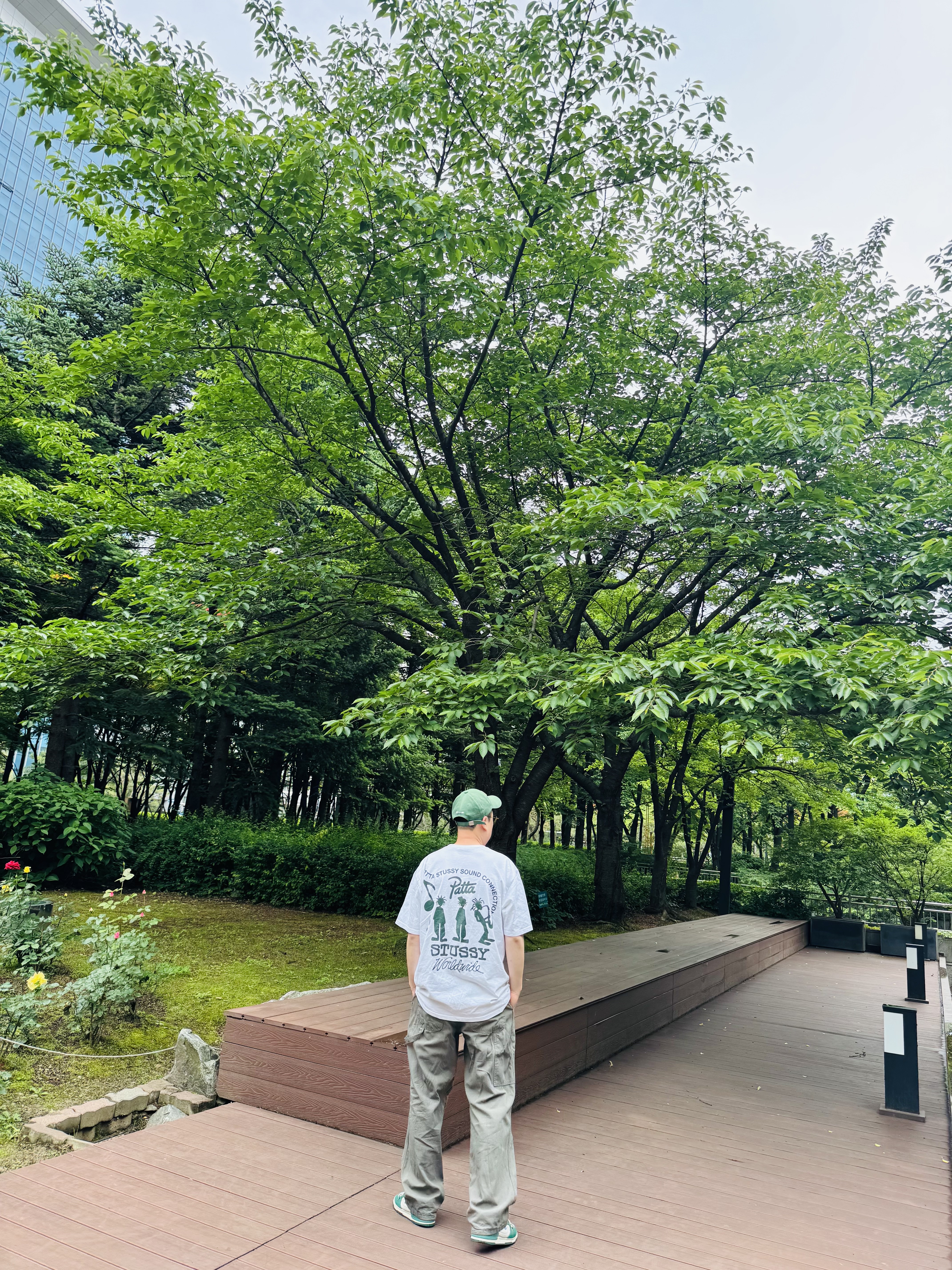 Emis Wappen Ball Cap Green, Stussy x Patta Sound Connection T-Shirt White 착용 스타일 - 1