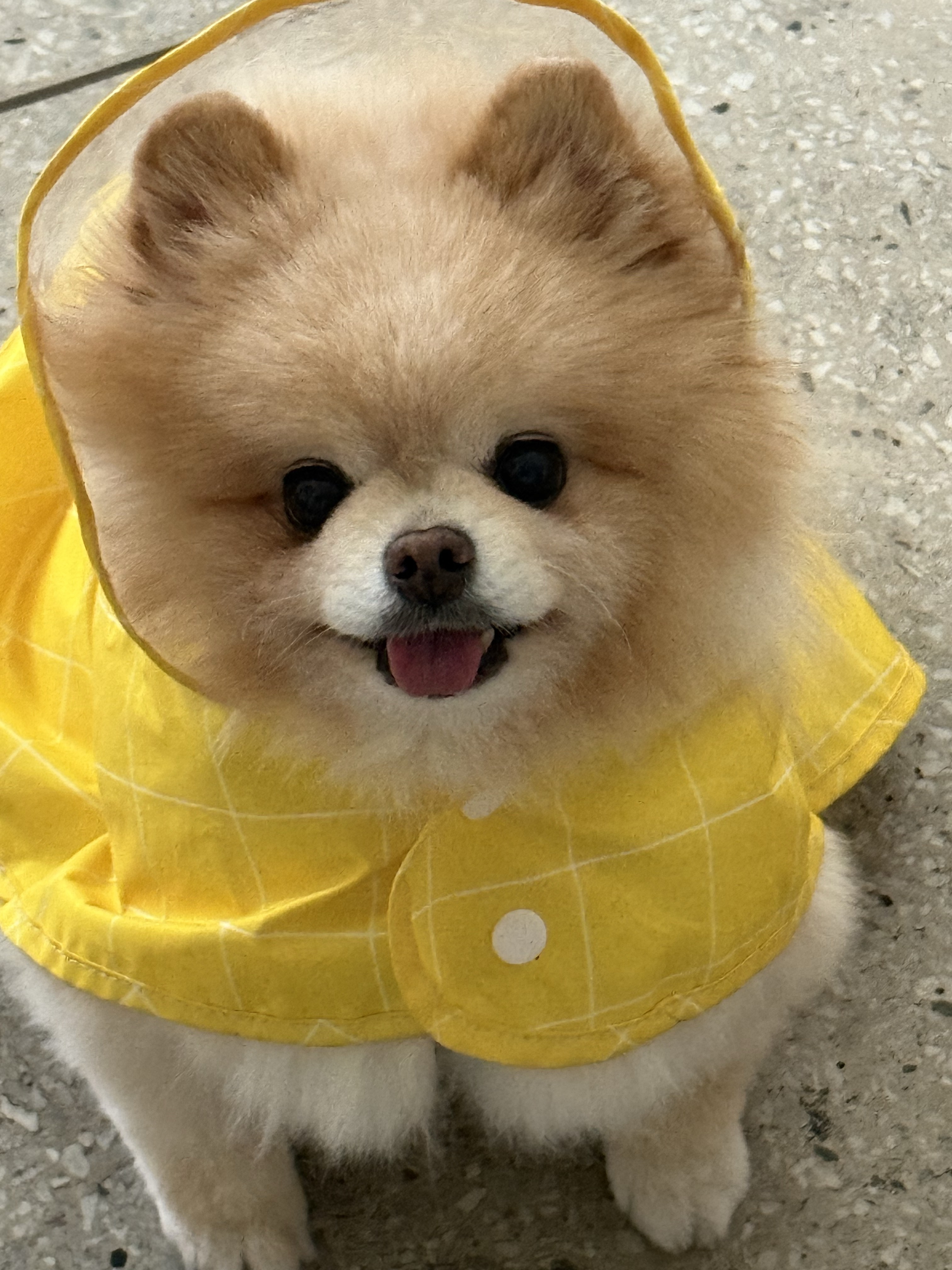 핼둥님의 스타일 - 1