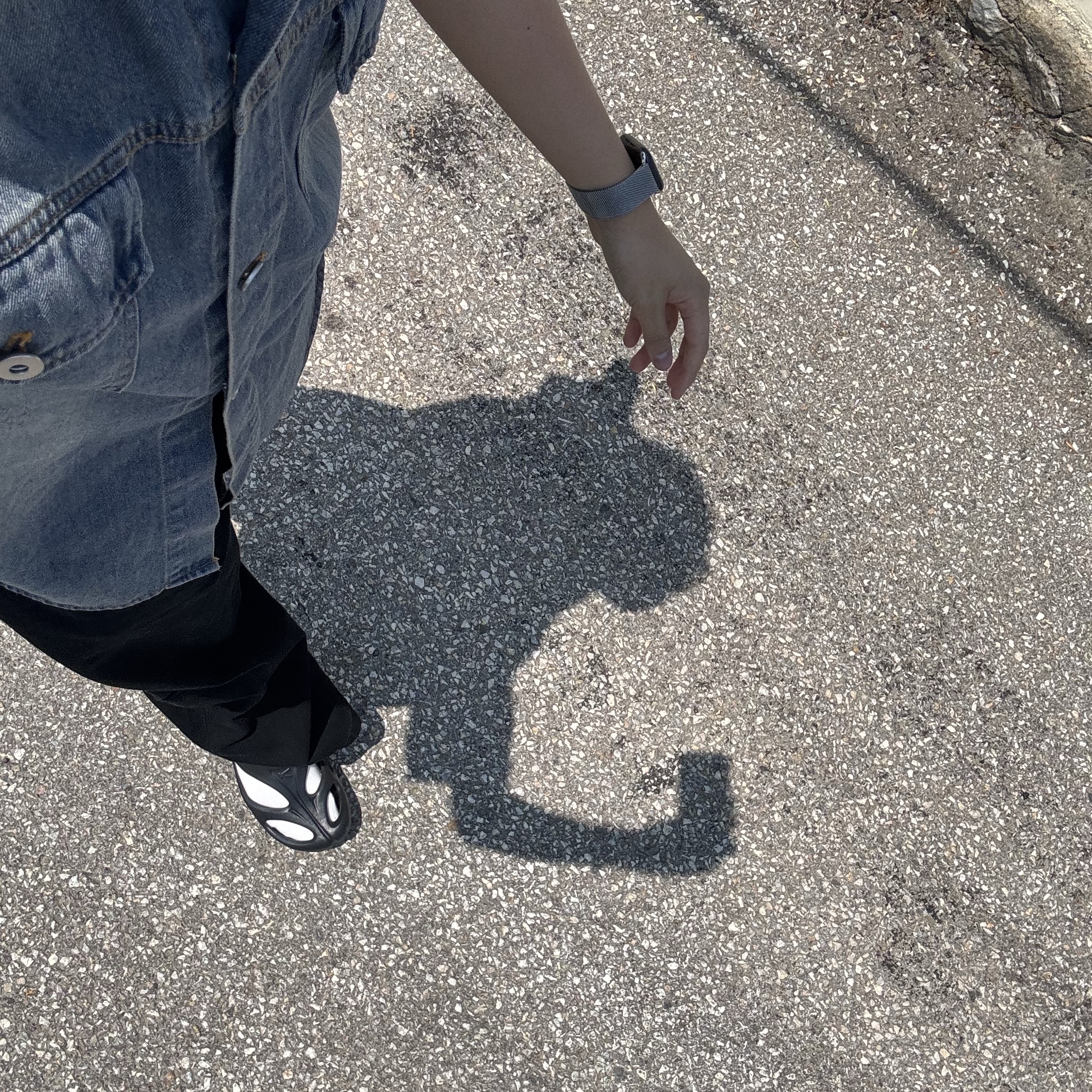Keen Shanti Black Dawn Blue, Millo Archive Reflect Curved Pants Black 착용 스타일