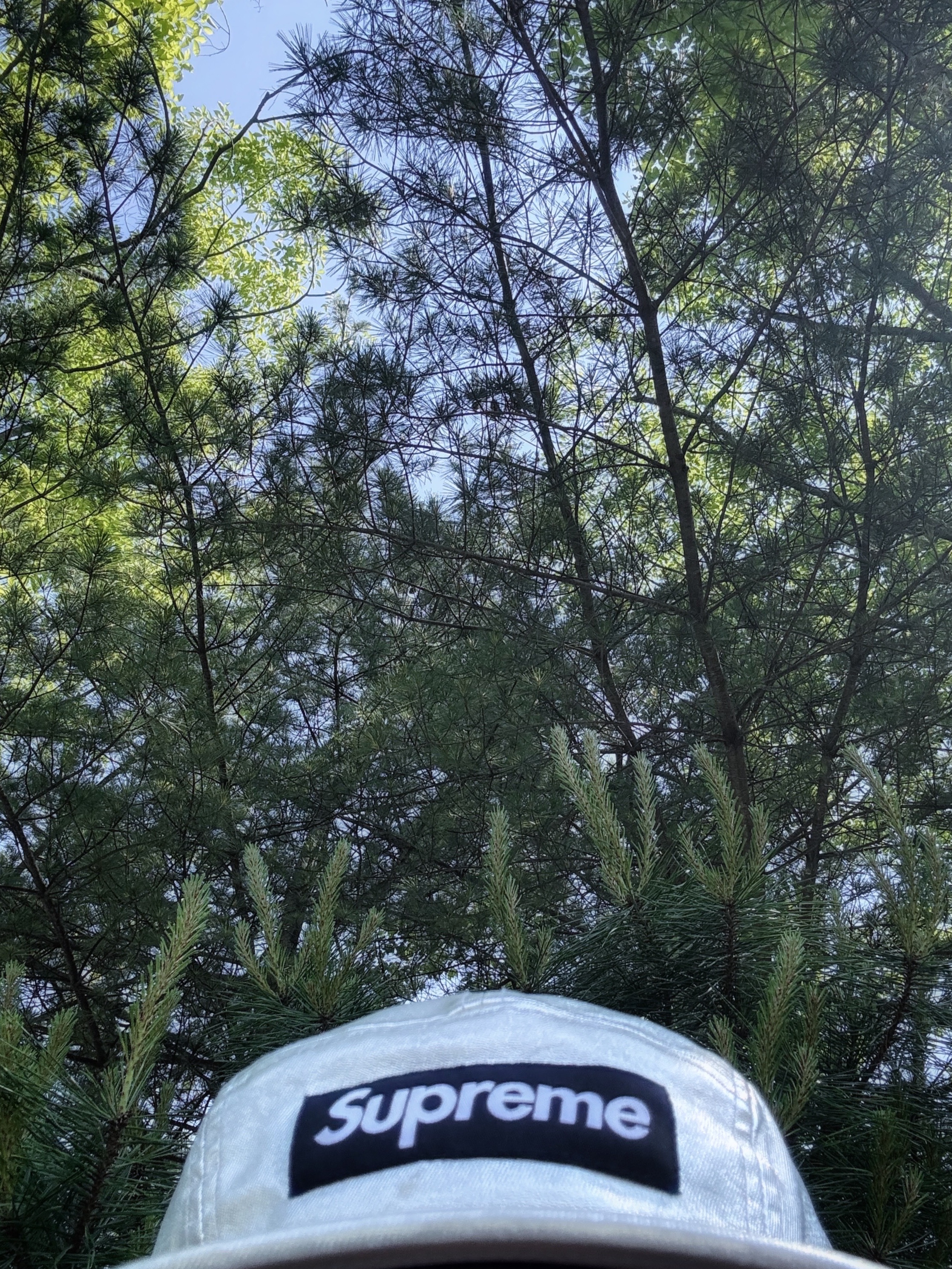 Supreme Washed Chino Twill Camp Cap Silver - 25SS, Adidas Puffy Satin Mini Shoulder Bag Silver Metallic 착용 스타일 - 2