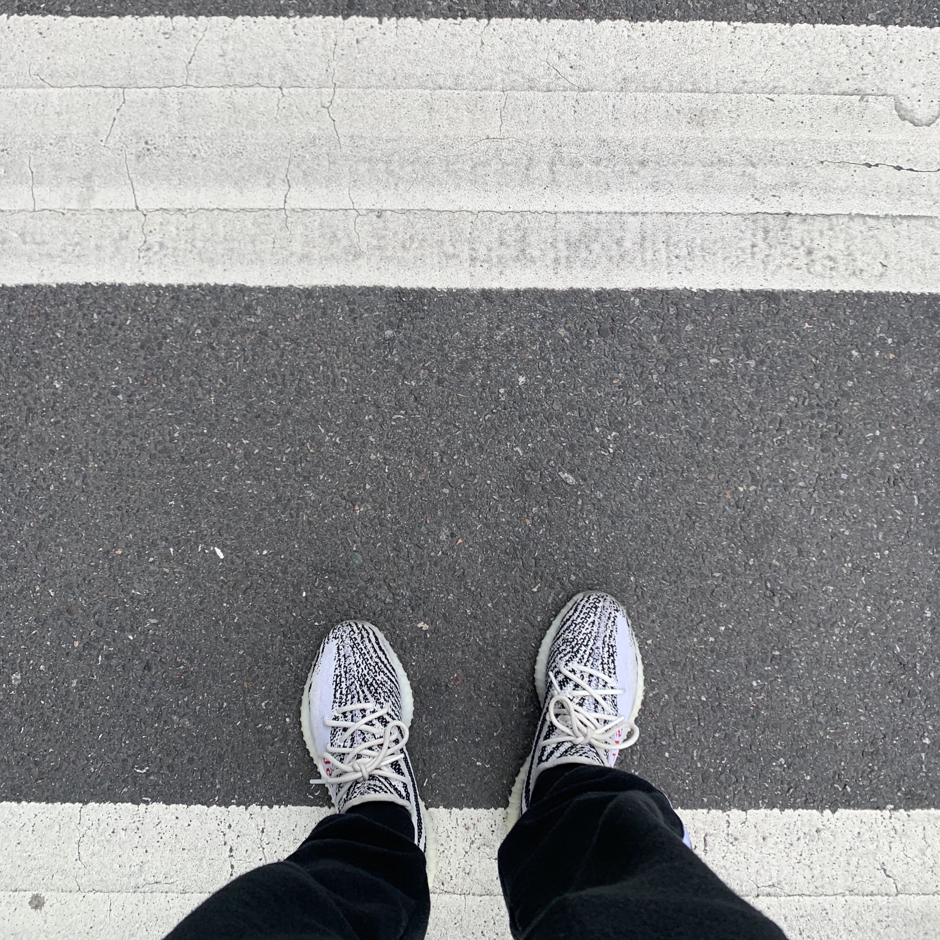 Adidas Yeezy Boost 350 V2 Zebra 2022/2023 착용 스타일