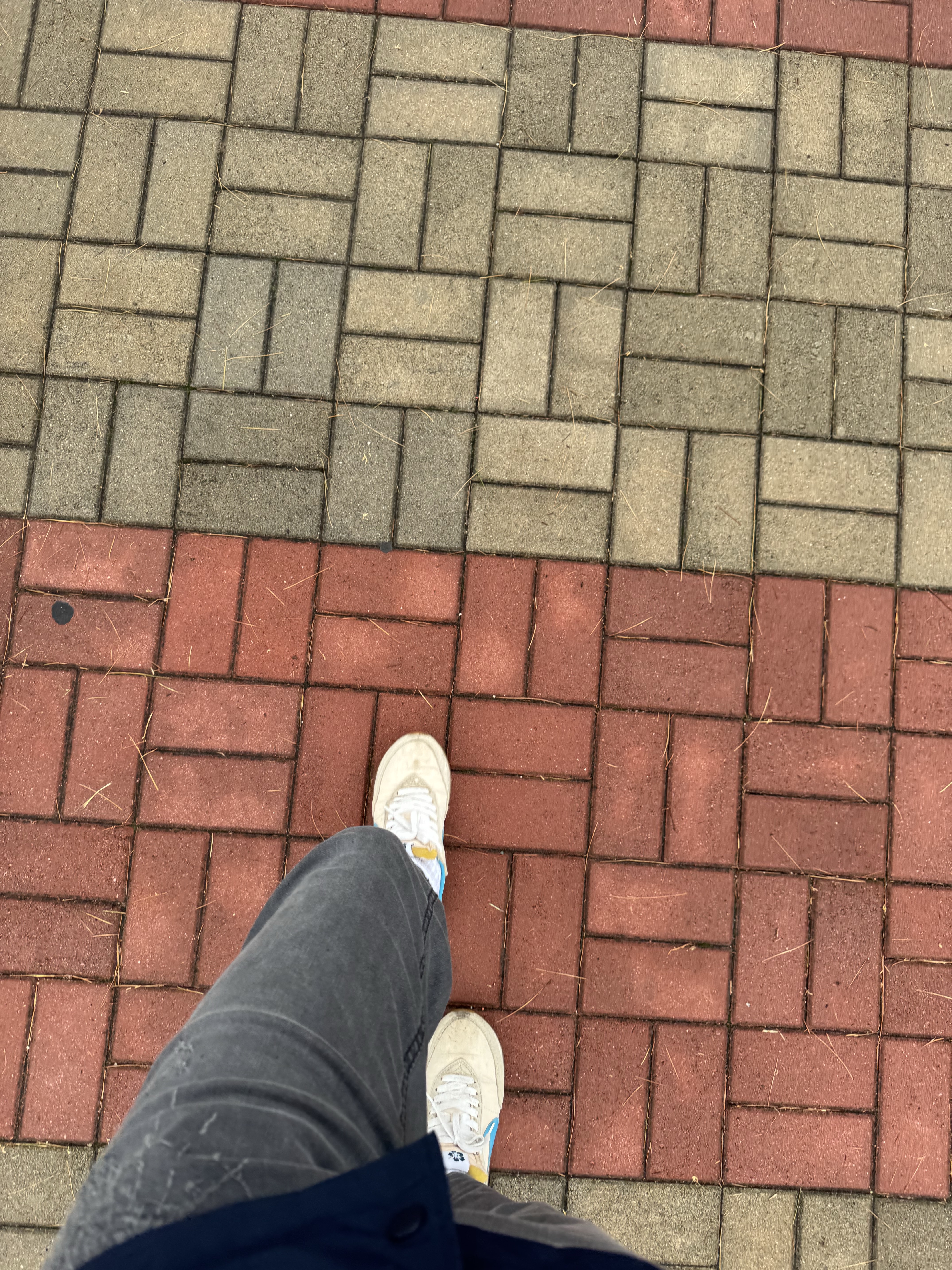 Uniqlo UT x Kaws x Warhol Coach Jacket Navy, Dr. Martens x Palace 1461 Red 착용 스타일 - 3