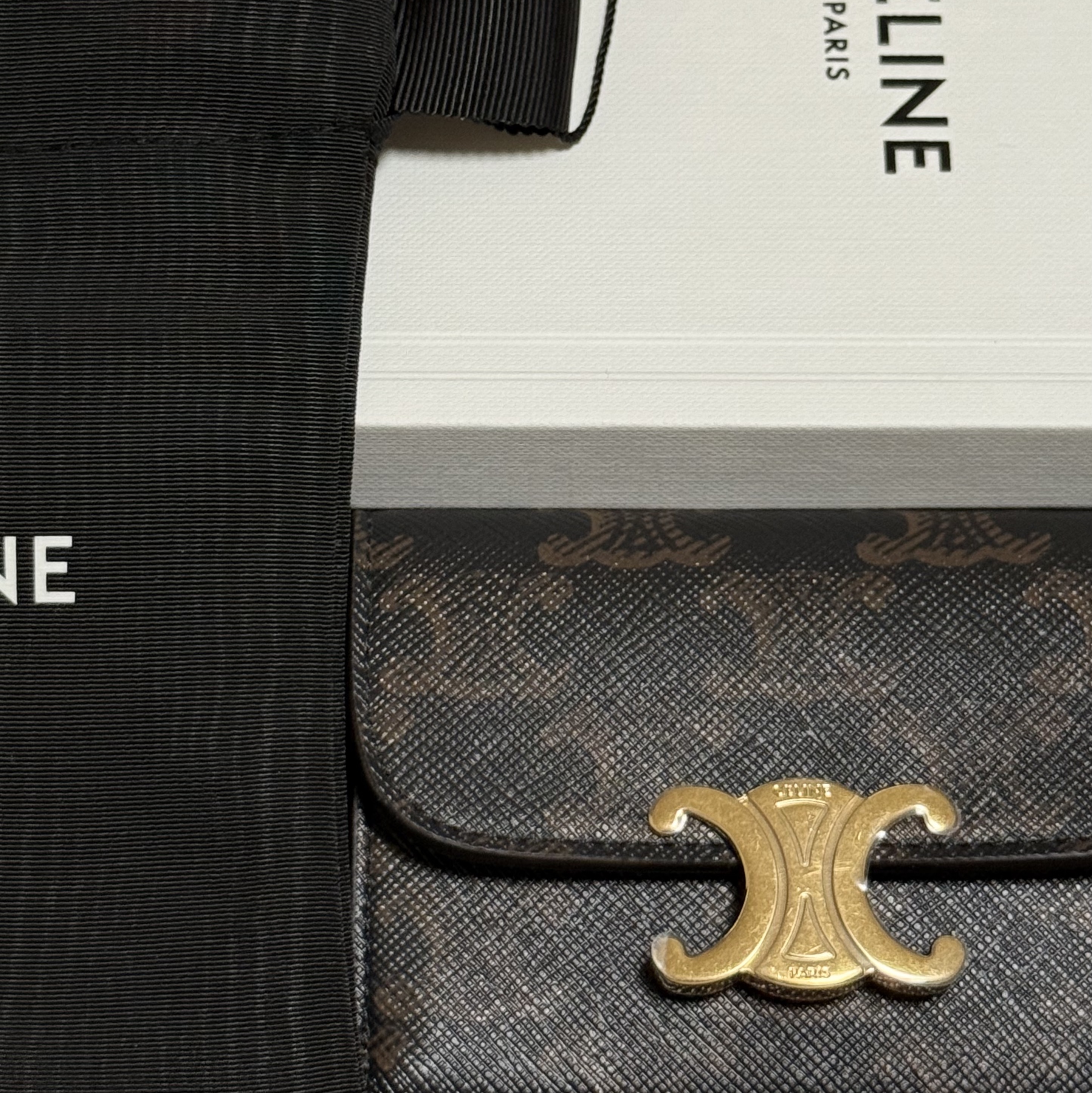 Celine Card Holder with Flap in Triomphe Canvas Tan 착용 스타일