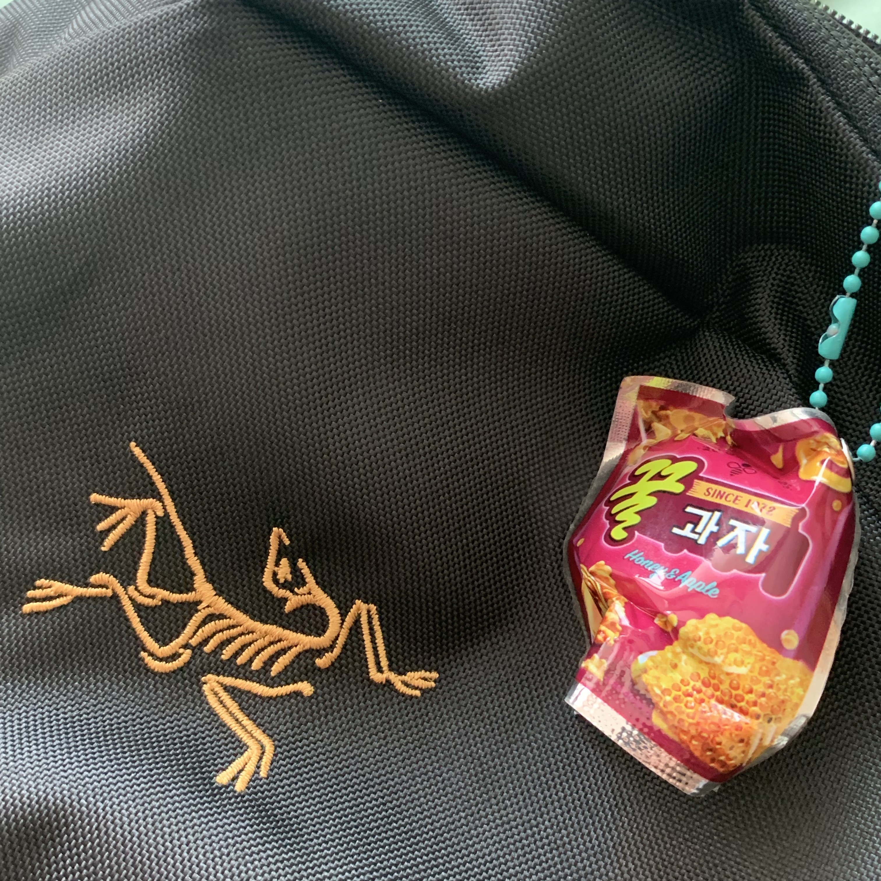 Arc'teryx Mantis 16 Backpack Black 착용 스타일