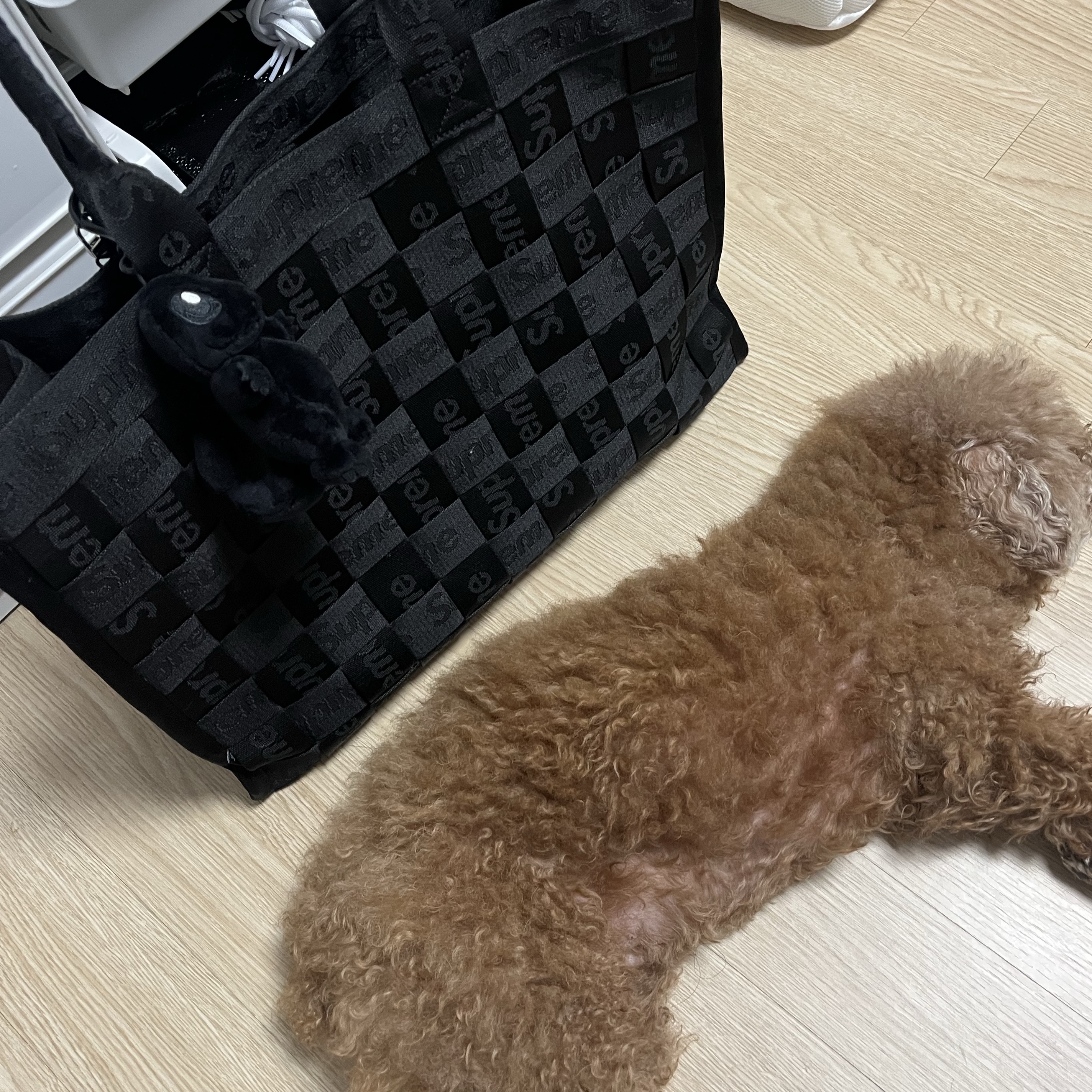 Supreme Woven Tote Black - 24SS 착용 스타일