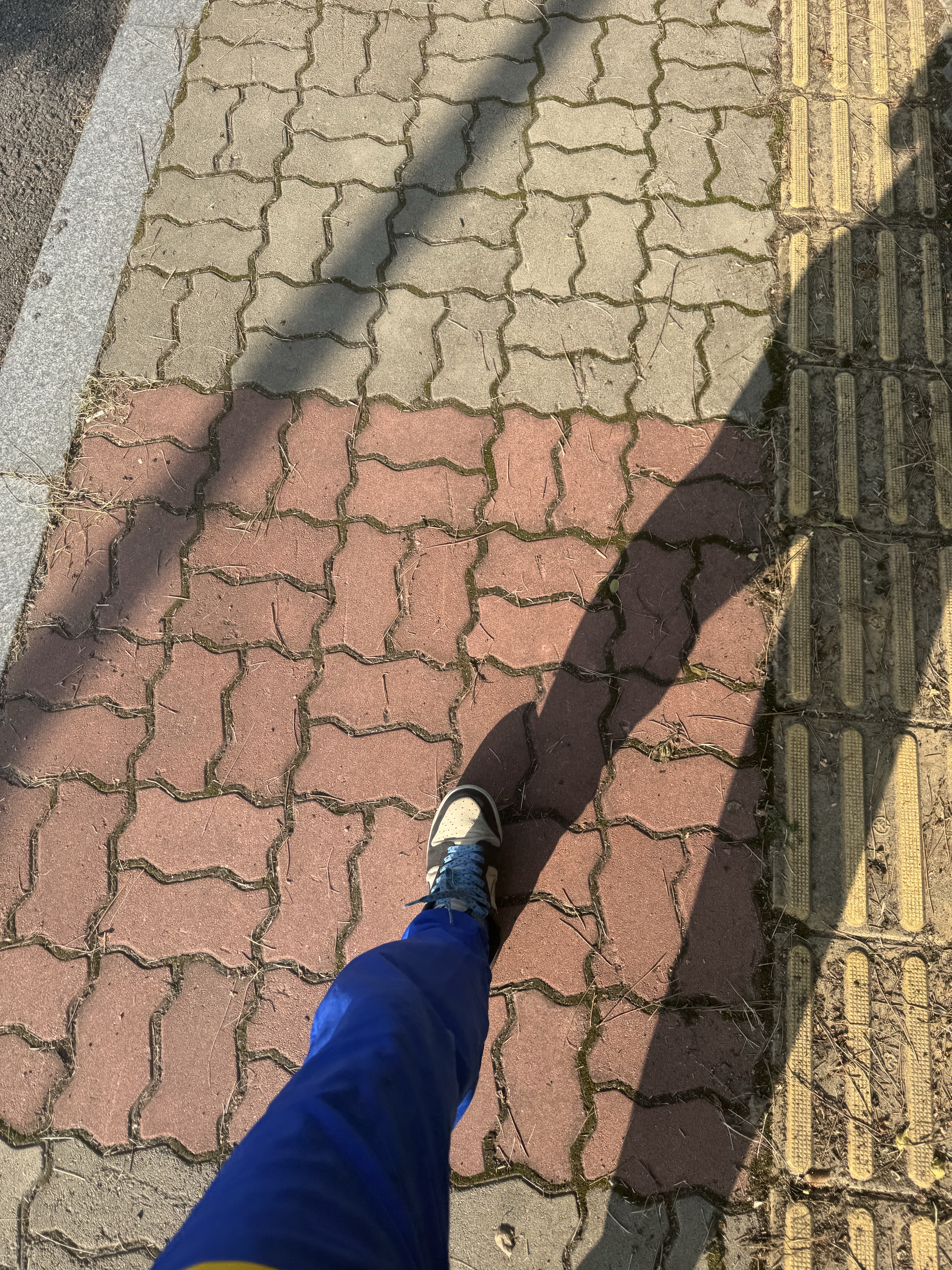 Uniqlo UT x Kaws x Warhol Coach Jacket Navy, Dr. Martens x Palace 1461 Red 착용 스타일 - 8