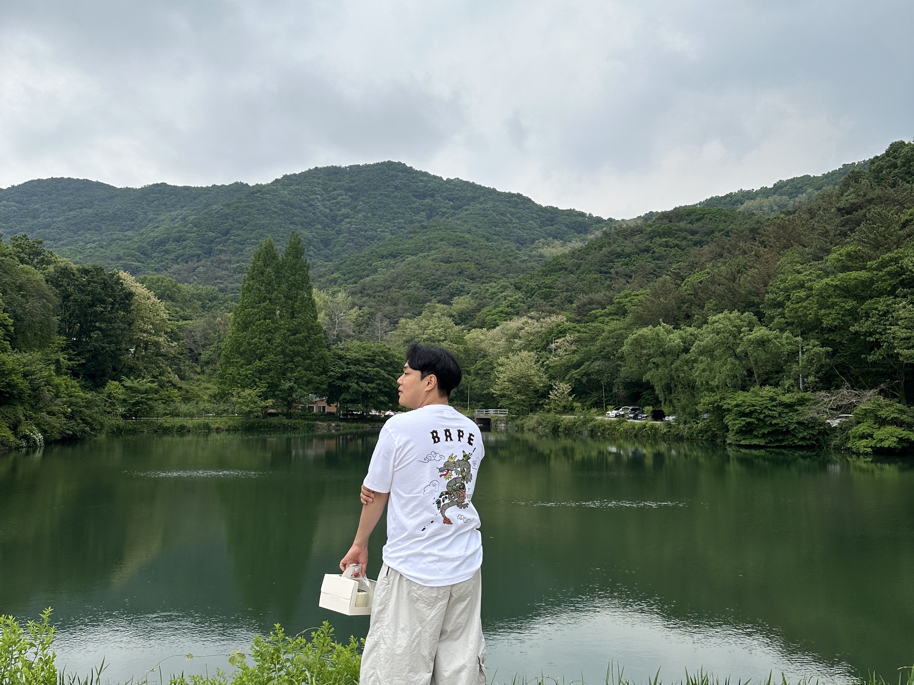 BAPE Souvenir Graphic T-Shirts White 착용 스타일